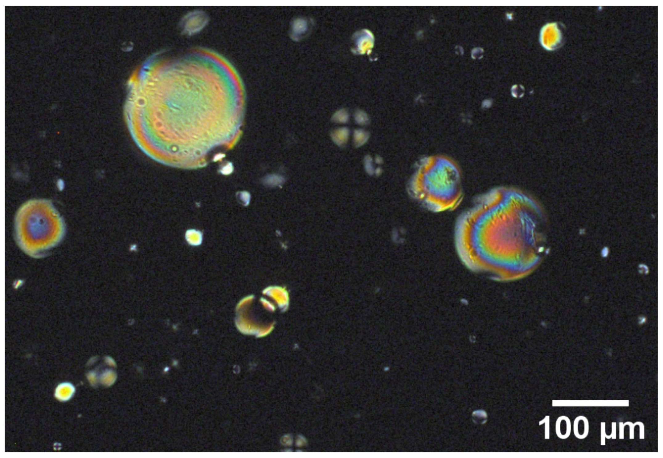 Nanomaterials 12 00619 g003