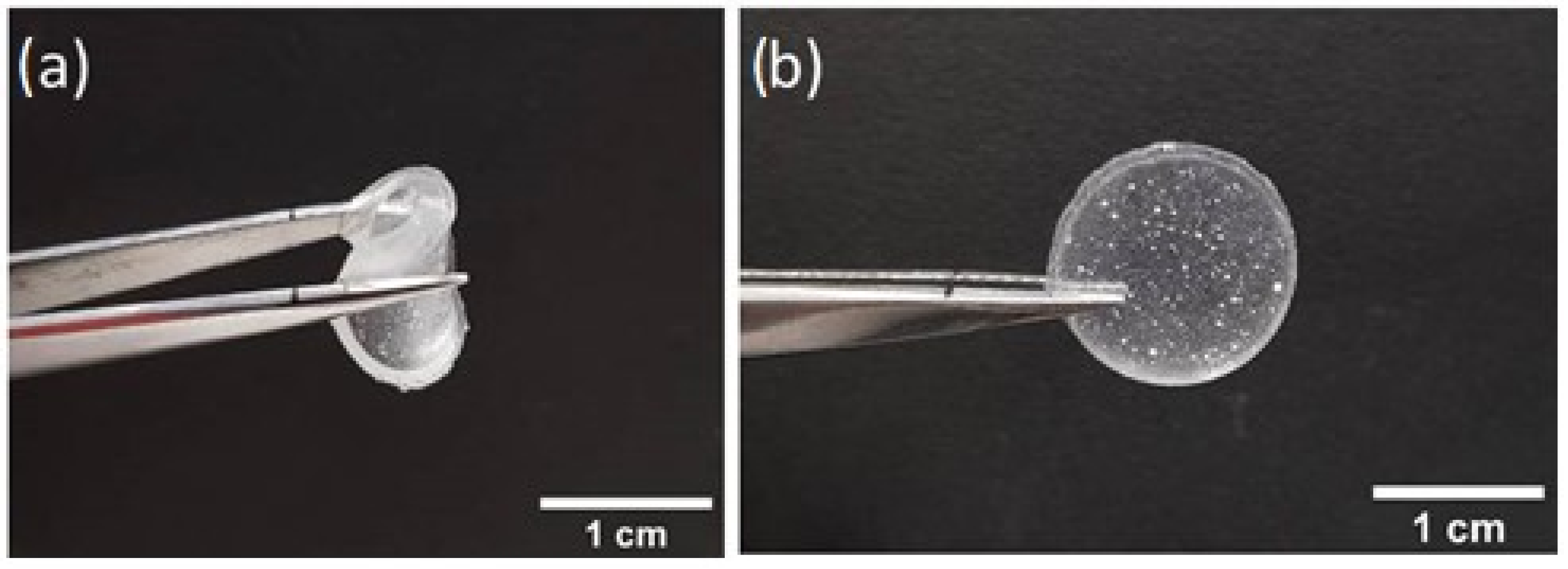 Nanomaterials 12 00619 g008