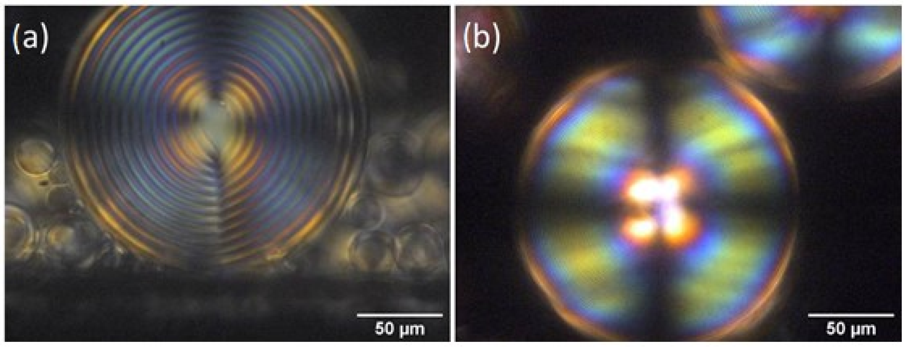 Nanomaterials 12 00619 g009