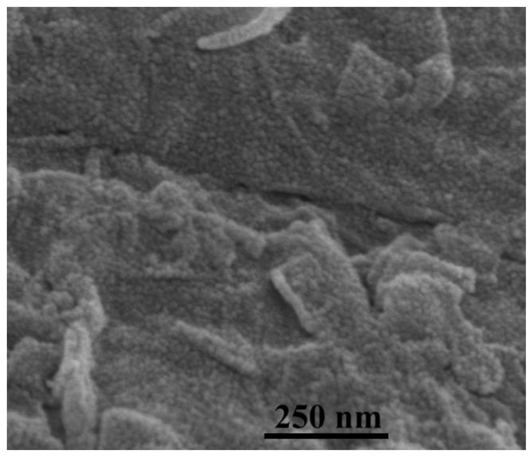 Nanomaterials 12 00621 g003