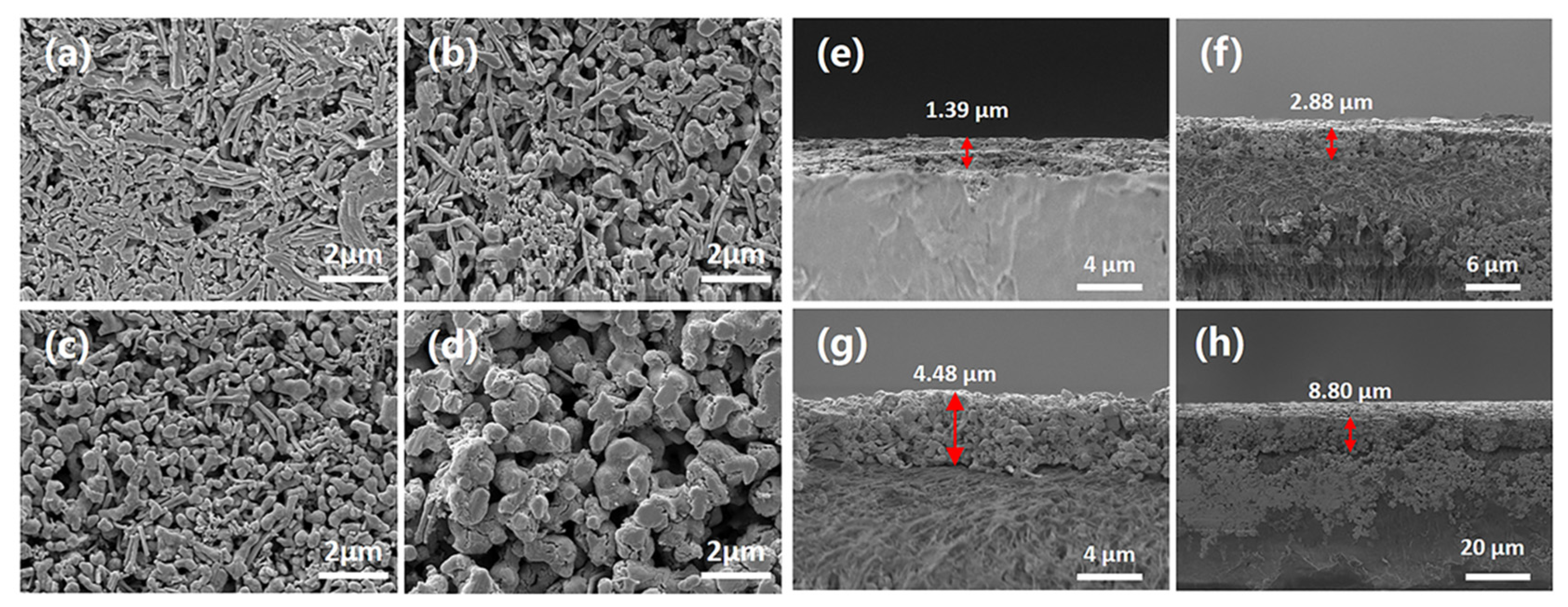 Nanomaterials 12 00624 g002