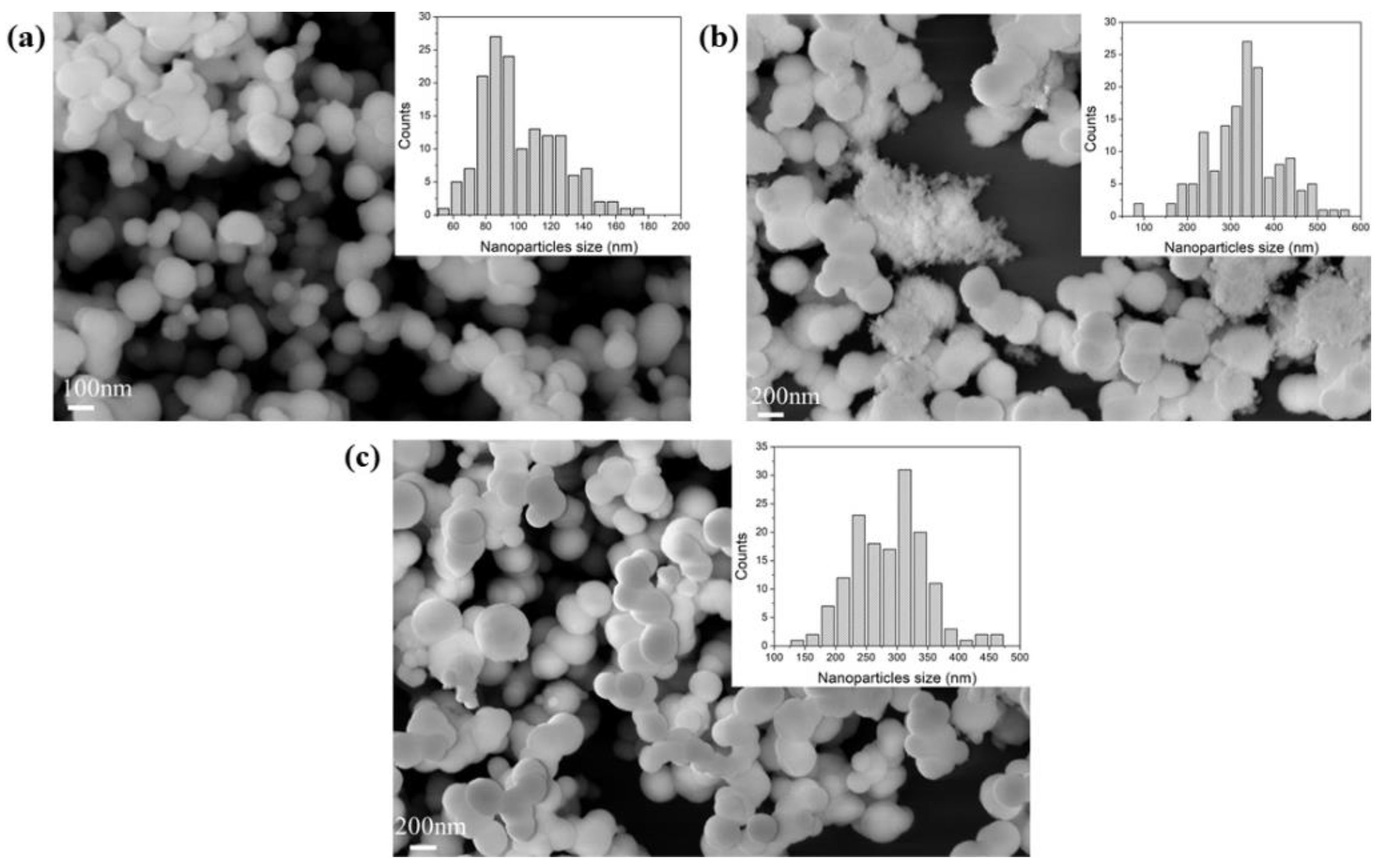 Nanomaterials 12 00626 g001