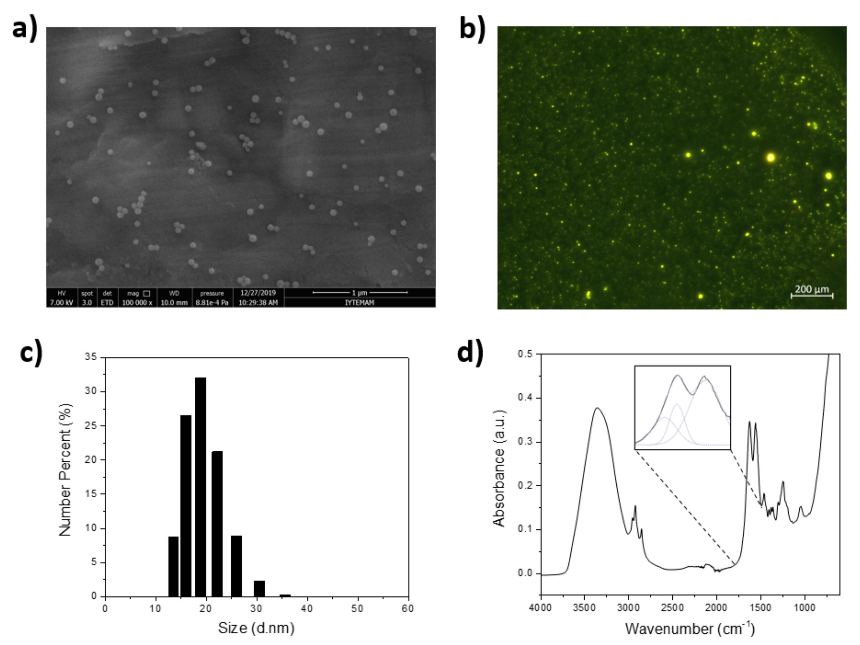Nanomaterials 12 00642 g002