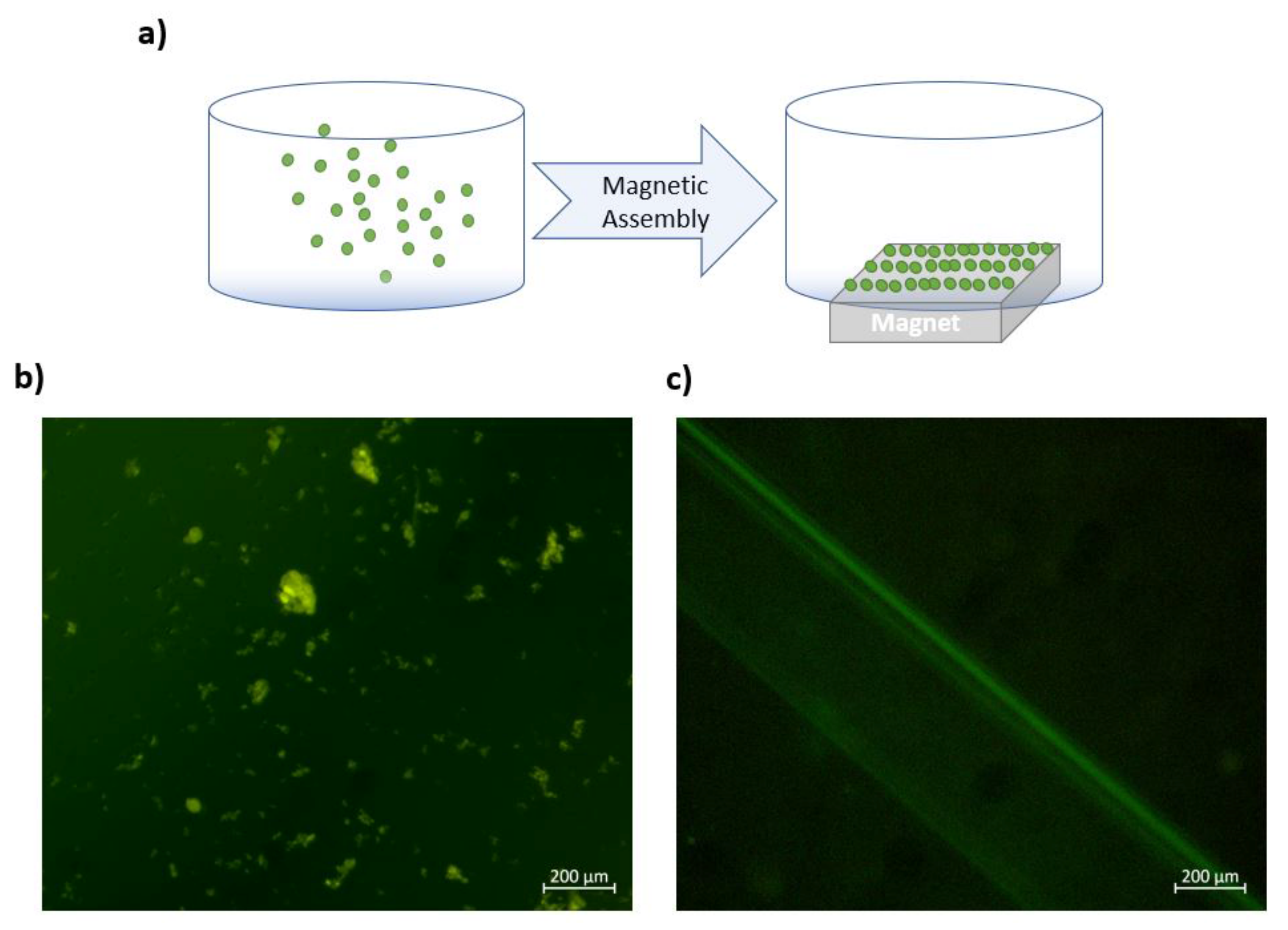 Nanomaterials 12 00642 g005