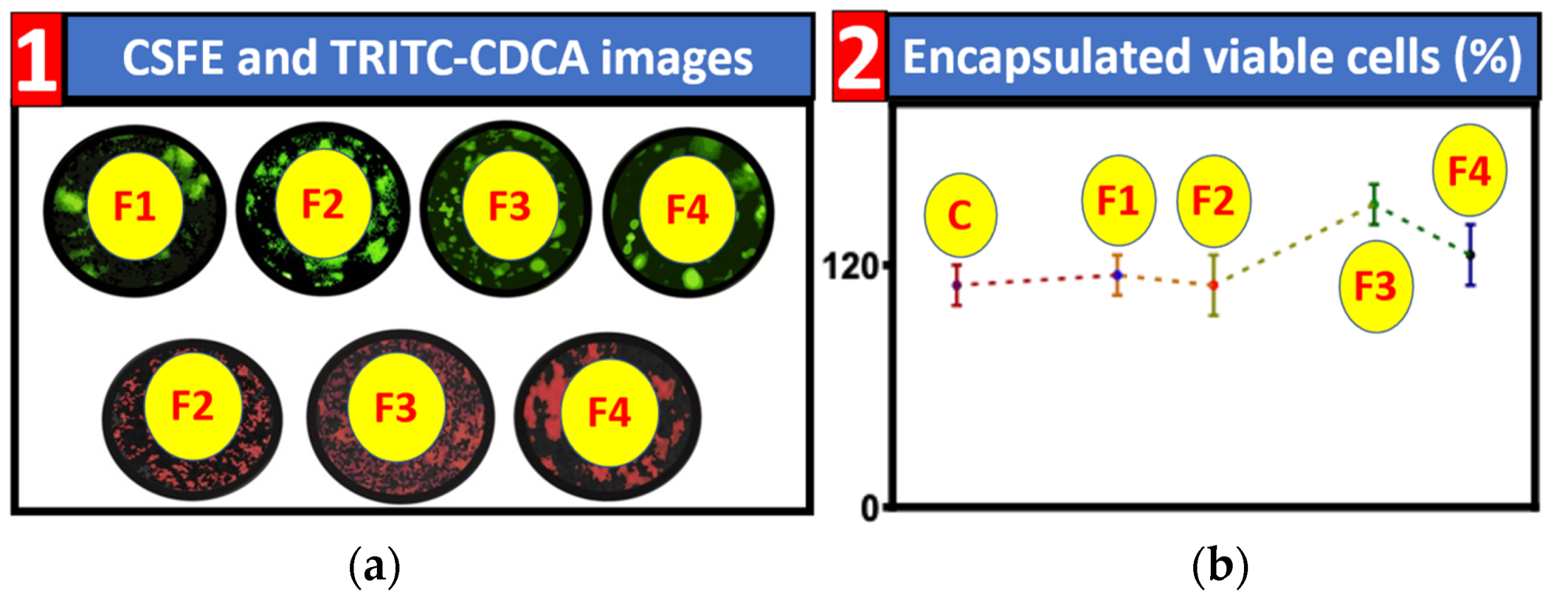 Nanomaterials 12 00647 g001