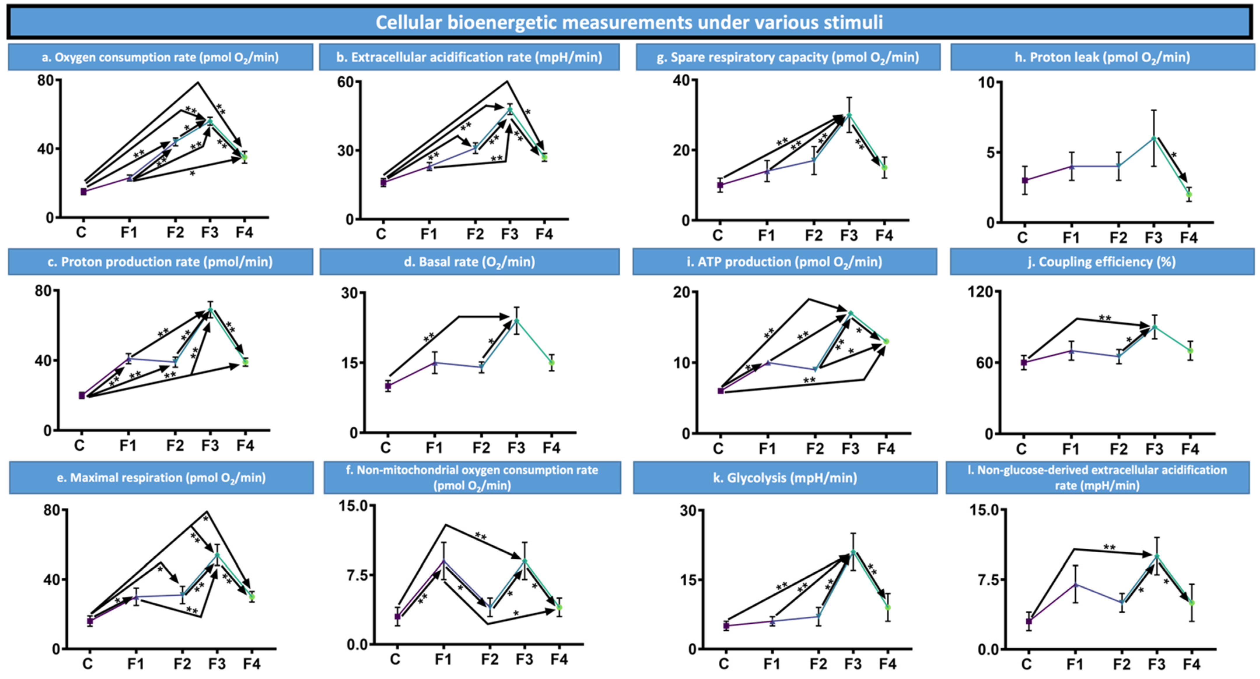 Nanomaterials 12 00647 g004