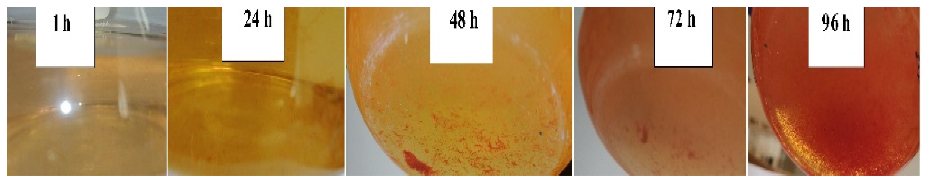Nanomaterials 12 00658 g003