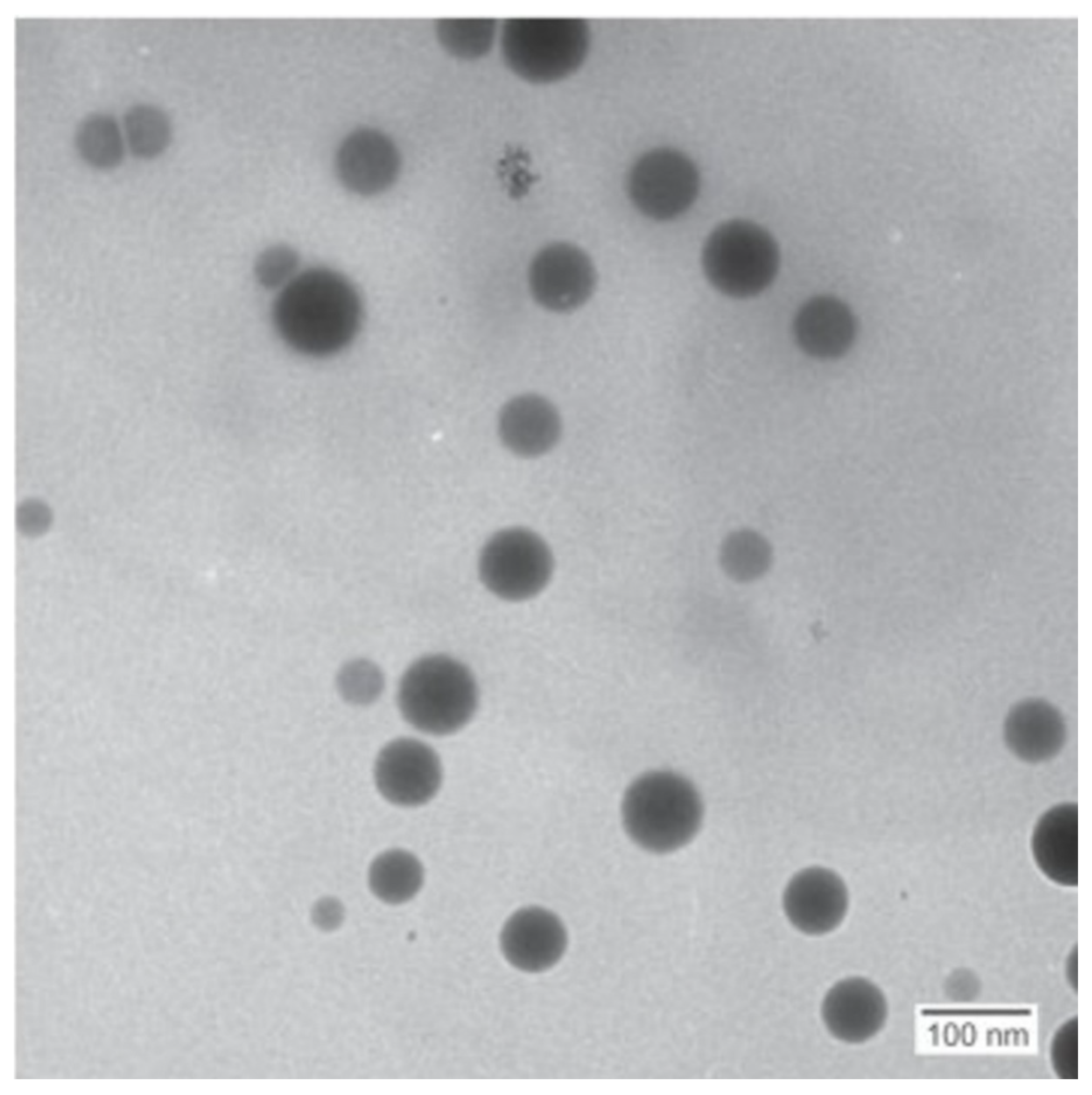 Nanomaterials 12 00658 g006