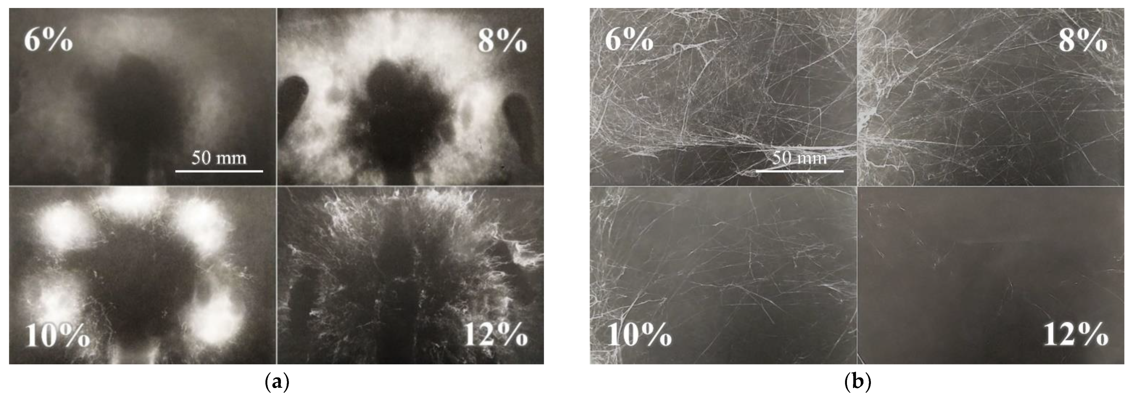 Nanomaterials 12 00665 g002
