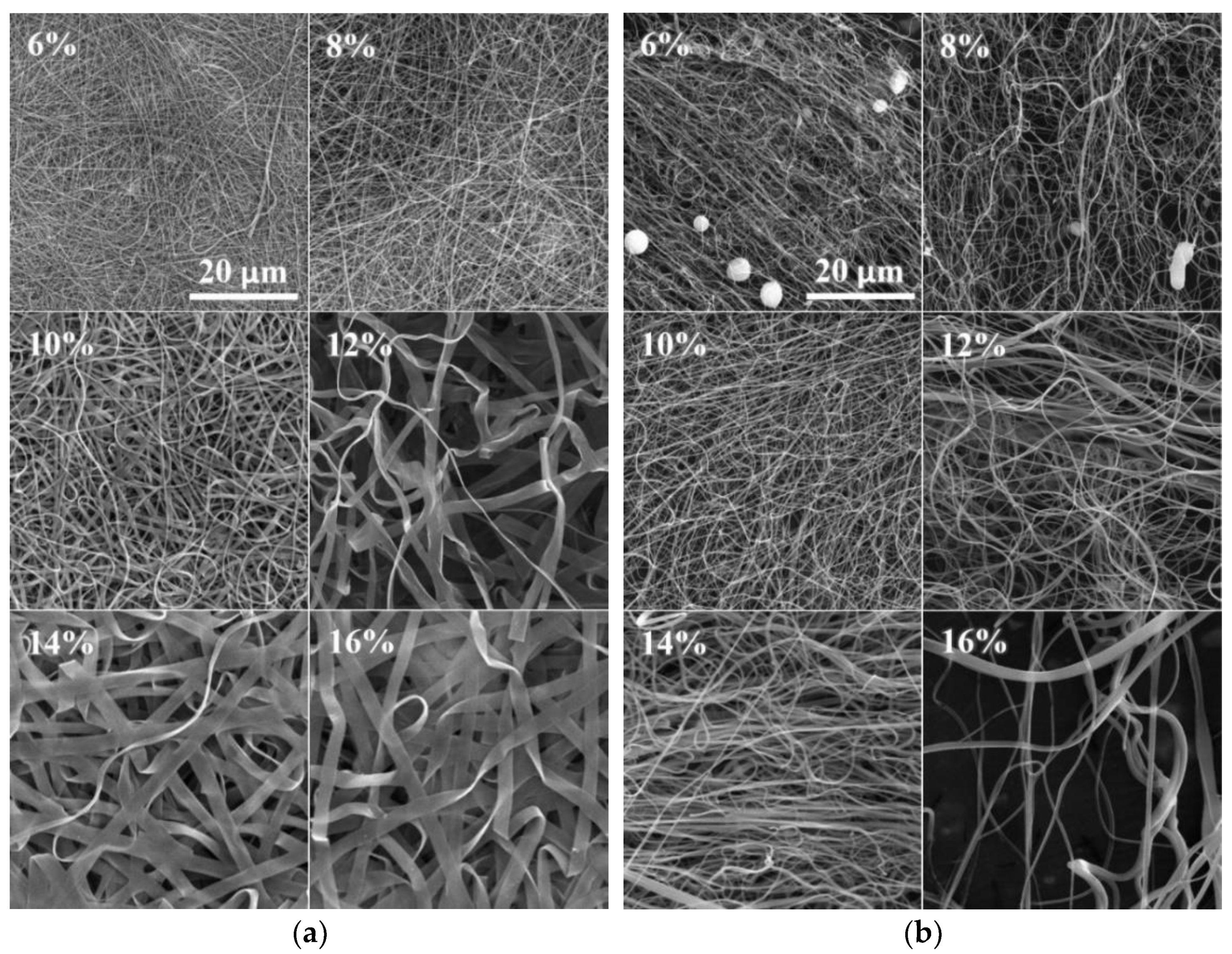 Nanomaterials 12 00665 g003