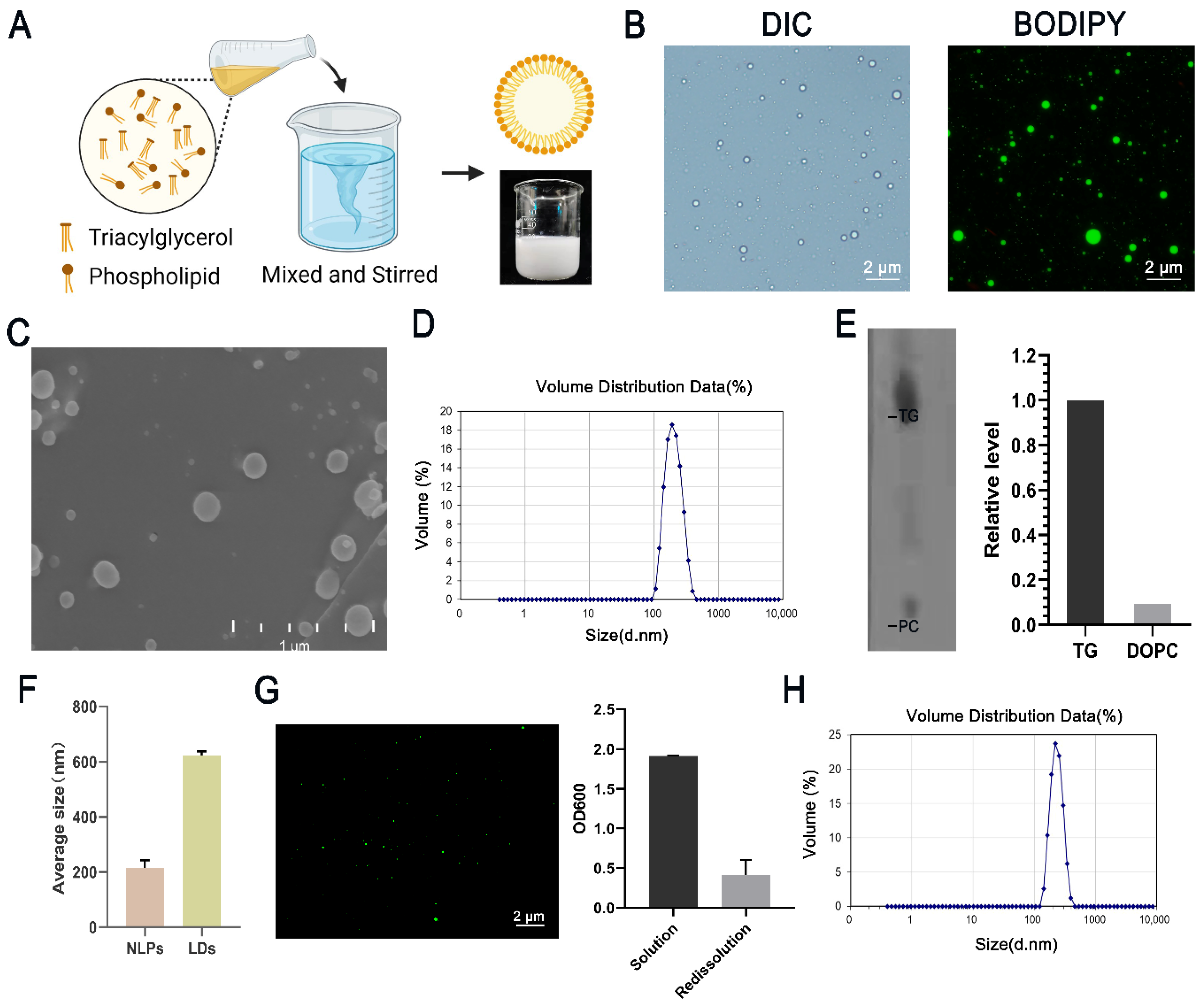 Nanomaterials 12 00672 g001