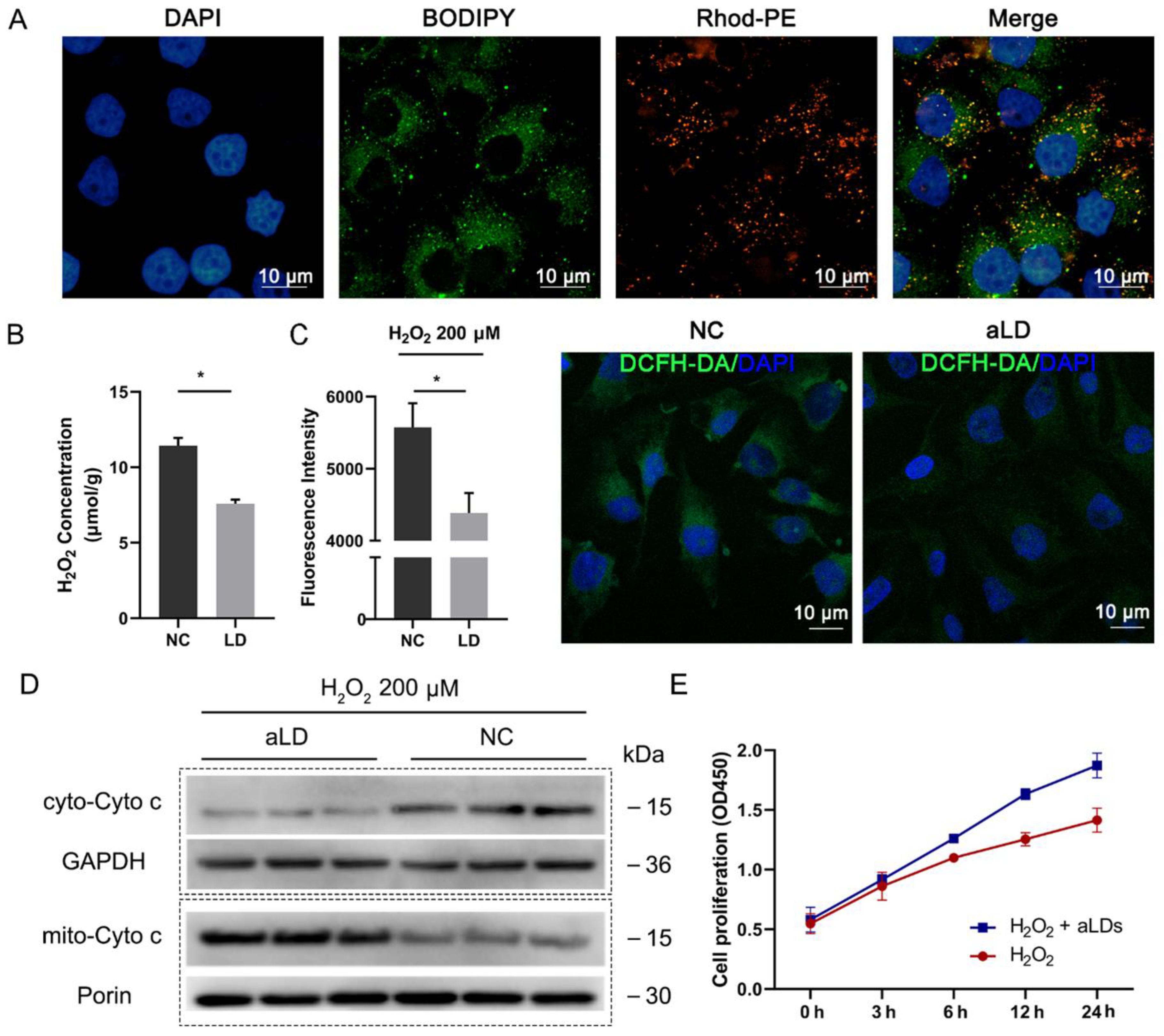 Nanomaterials 12 00672 g004