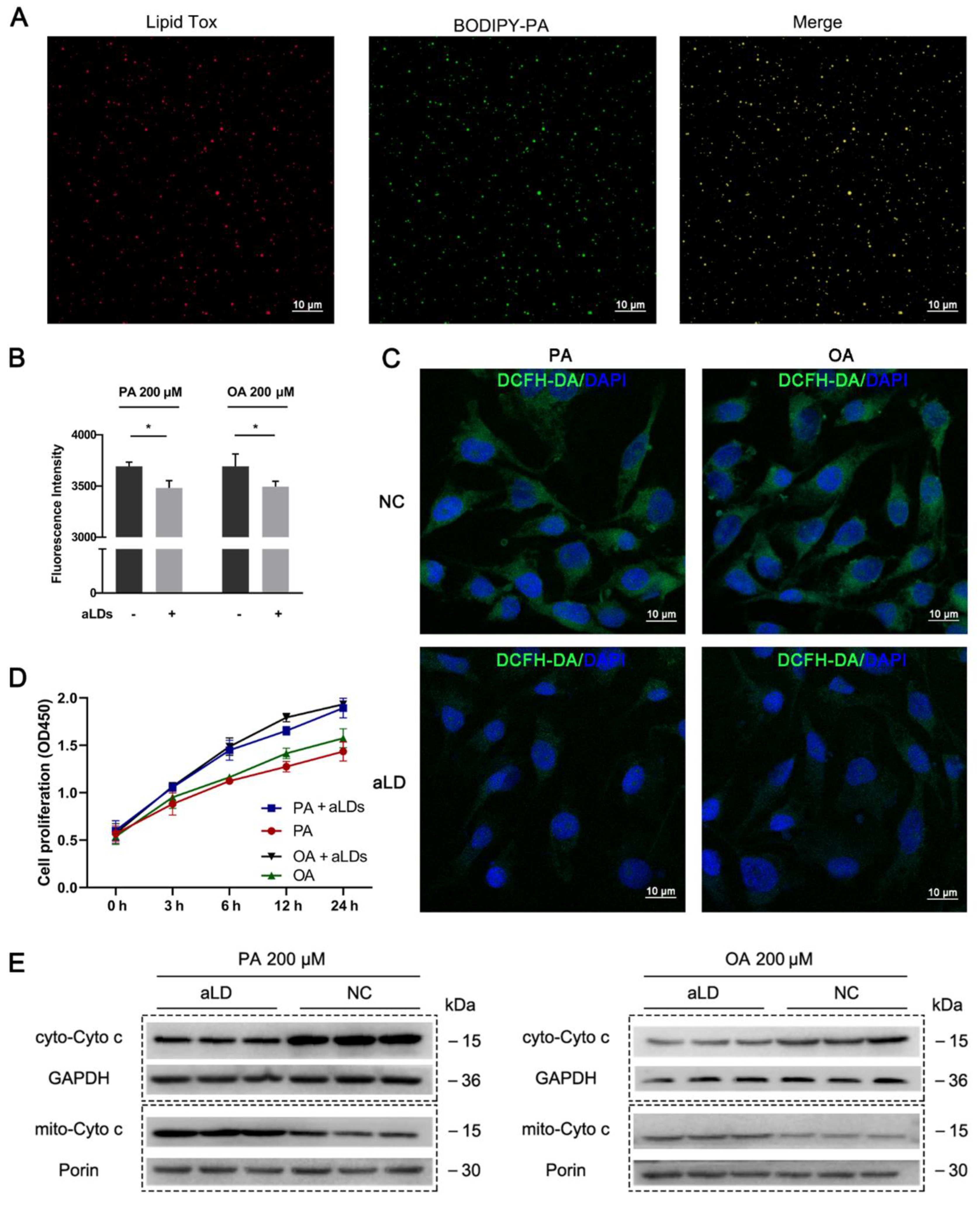 Nanomaterials 12 00672 g005