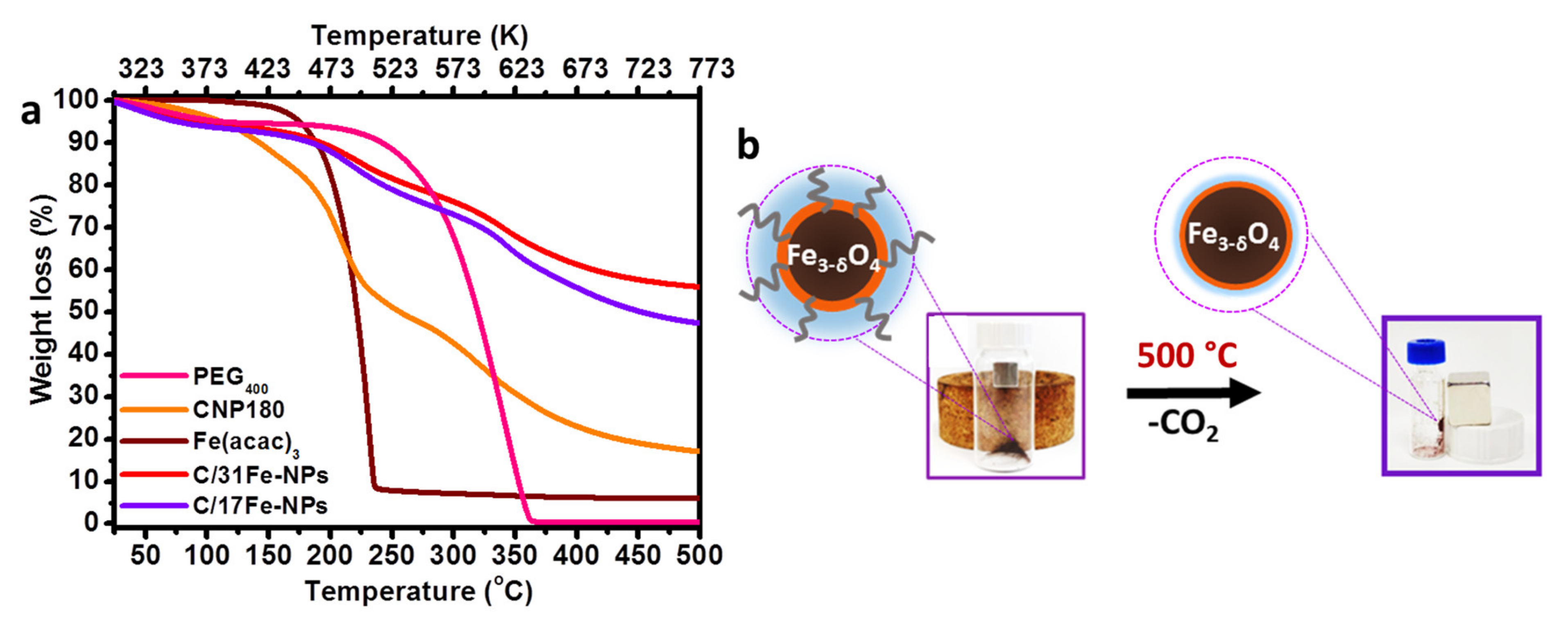 Nanomaterials 12 00674 g001