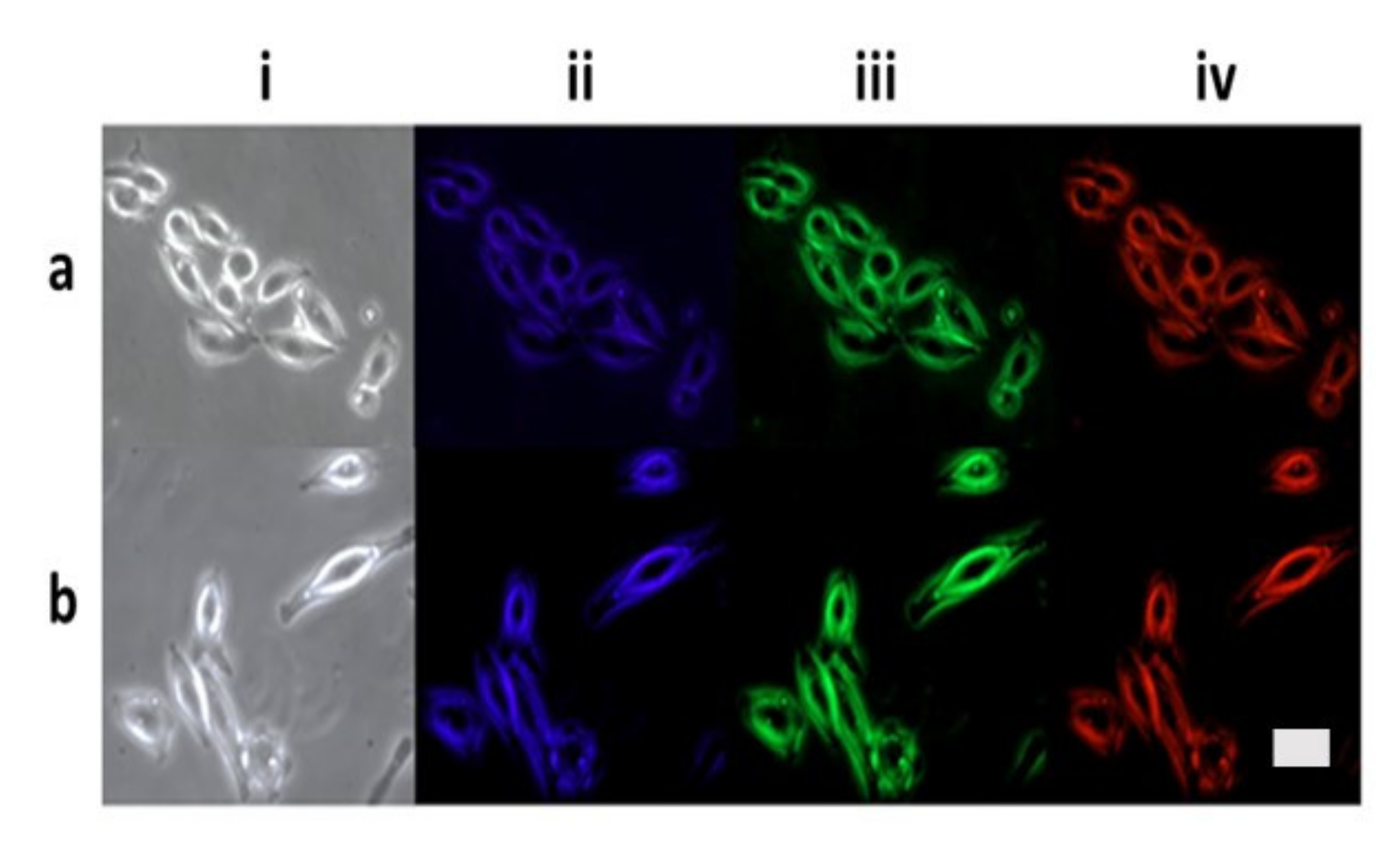 Nanomaterials 12 00674 g010