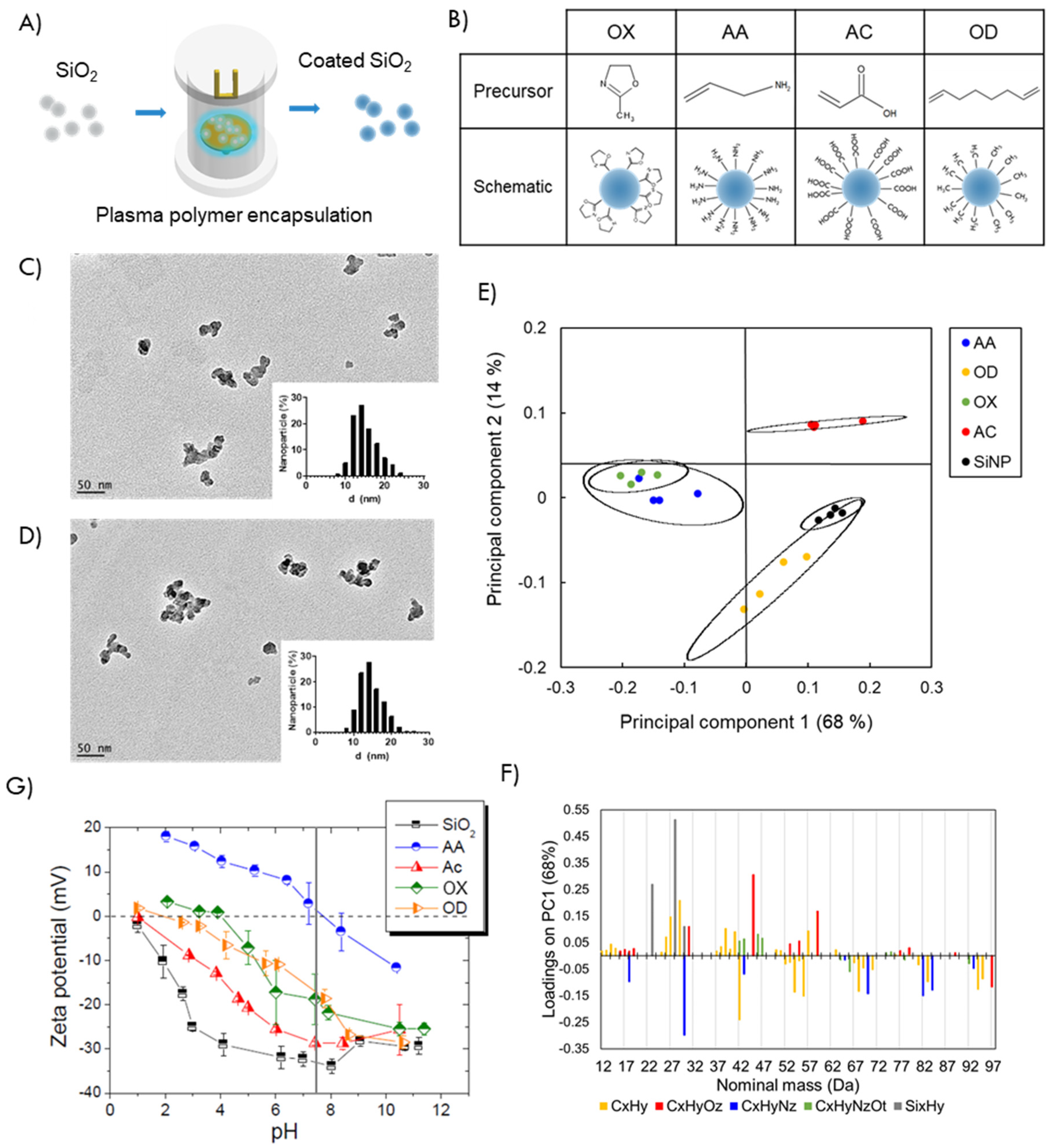 Nanomaterials 12 00682 g001