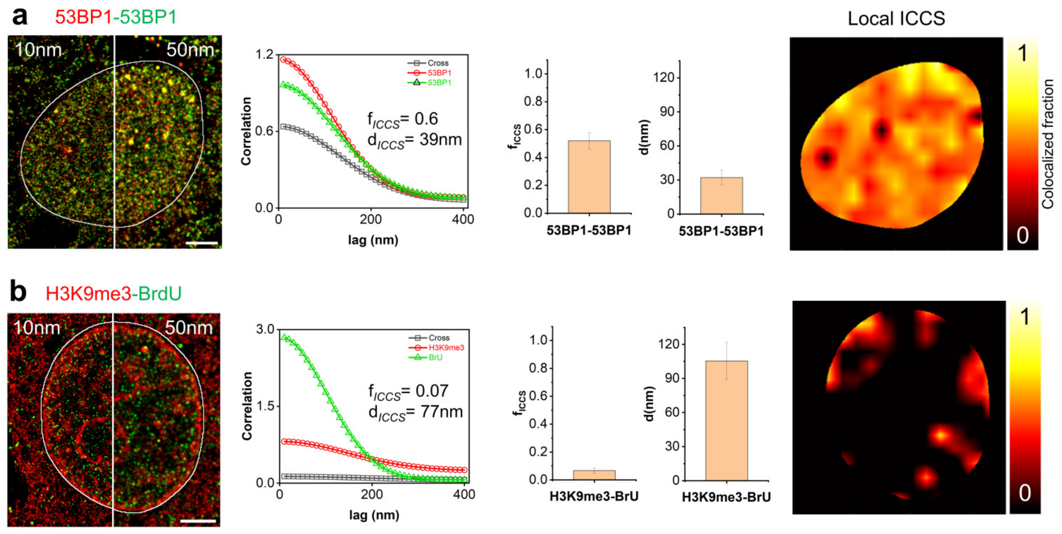 Nanomaterials 12 00686 g002