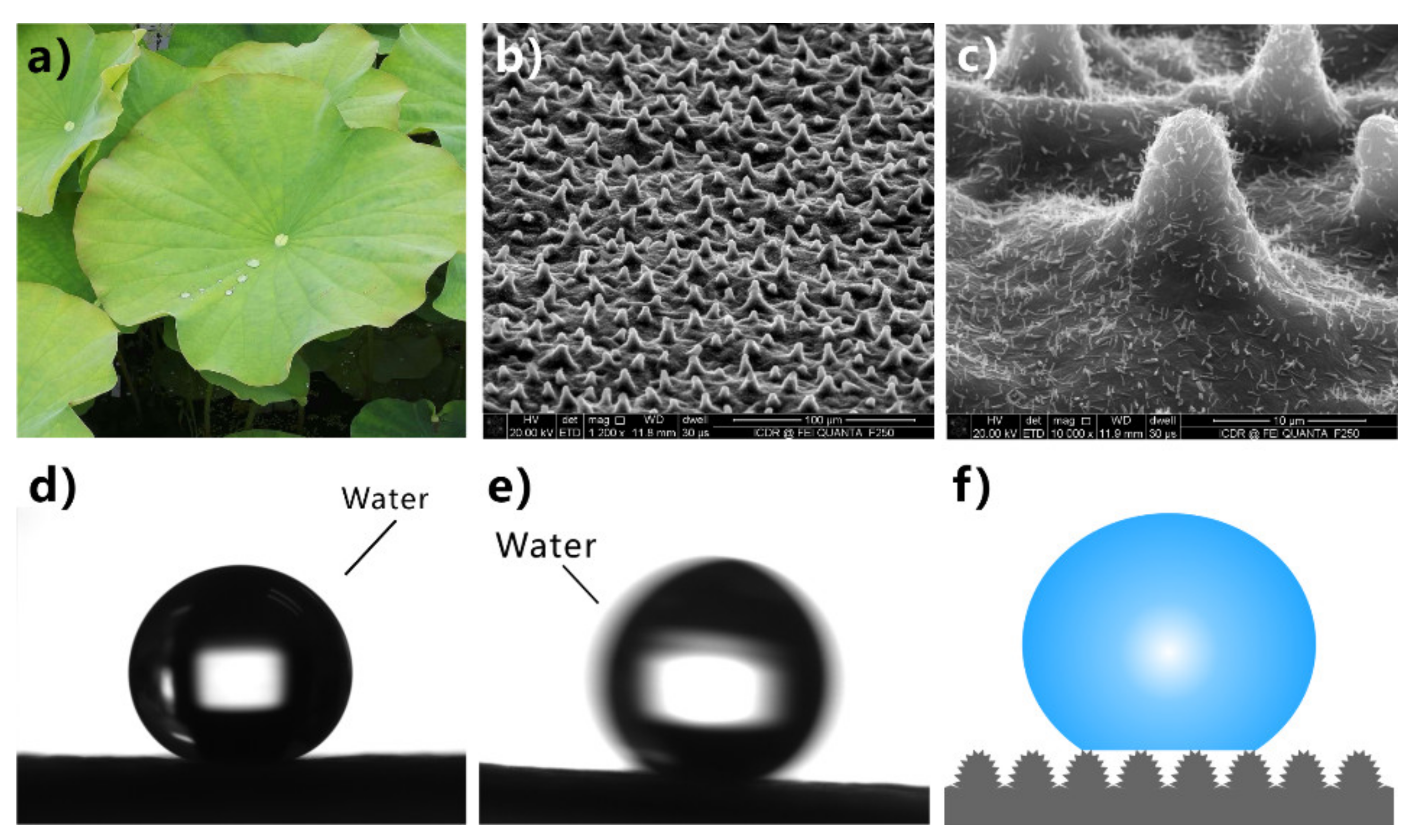Nanomaterials 12 00688 g003 Nanomaterials 12 00688 g003