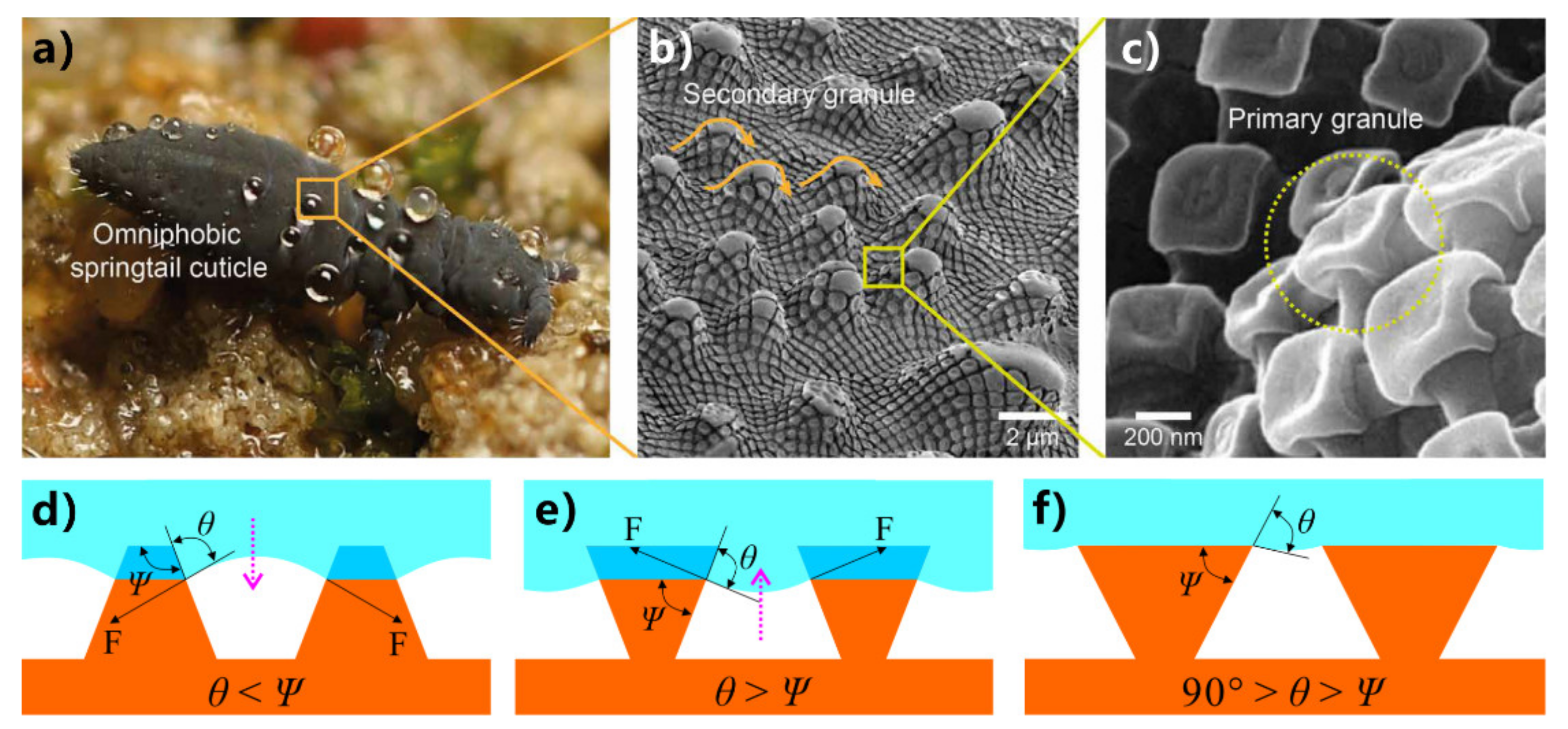 Nanomaterials 12 00688 g005 Nanomaterials 12 00688 g005