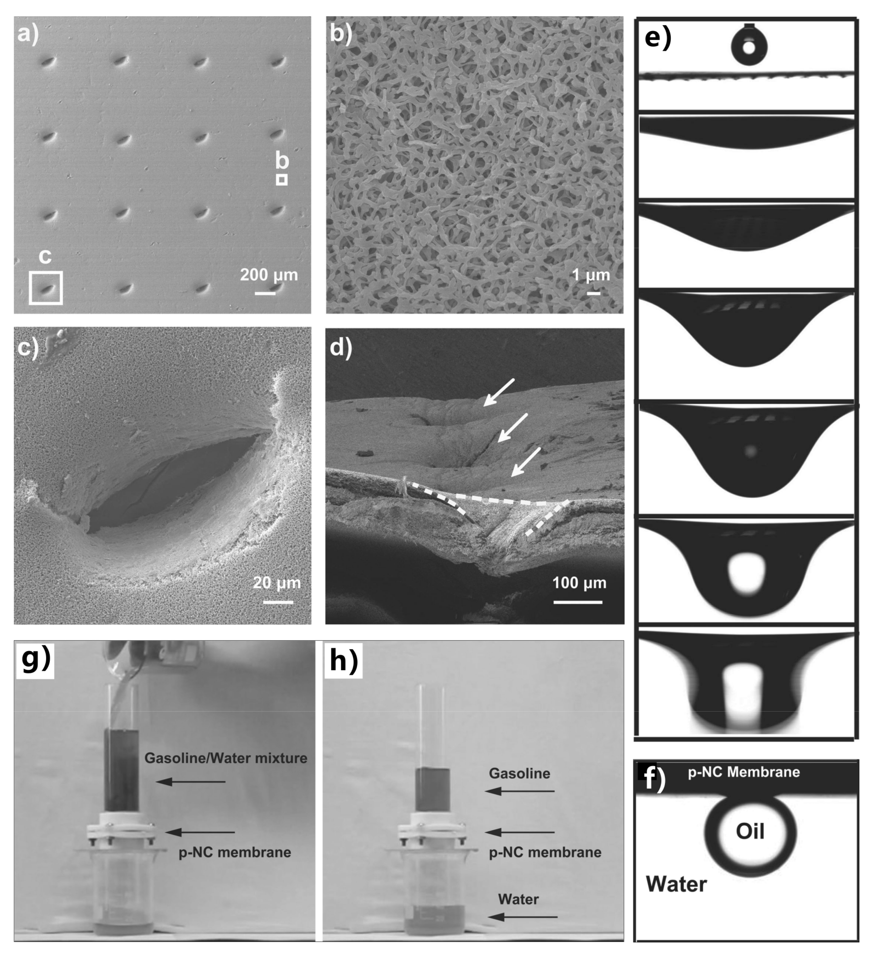 Nanomaterials 12 00688 g015 Nanomaterials 12 00688 g015
