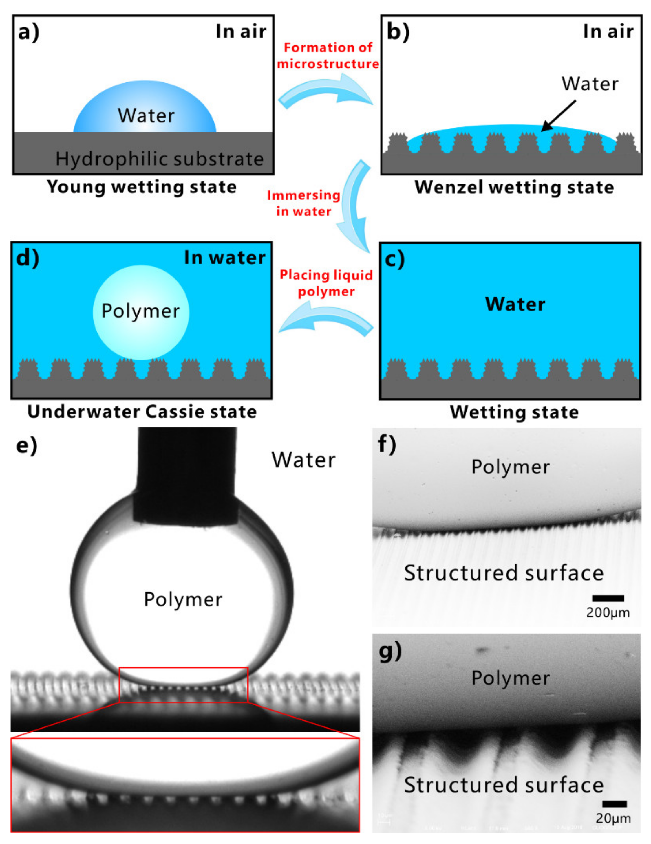 Nanomaterials 12 00688 g022 Nanomaterials 12 00688 g022
