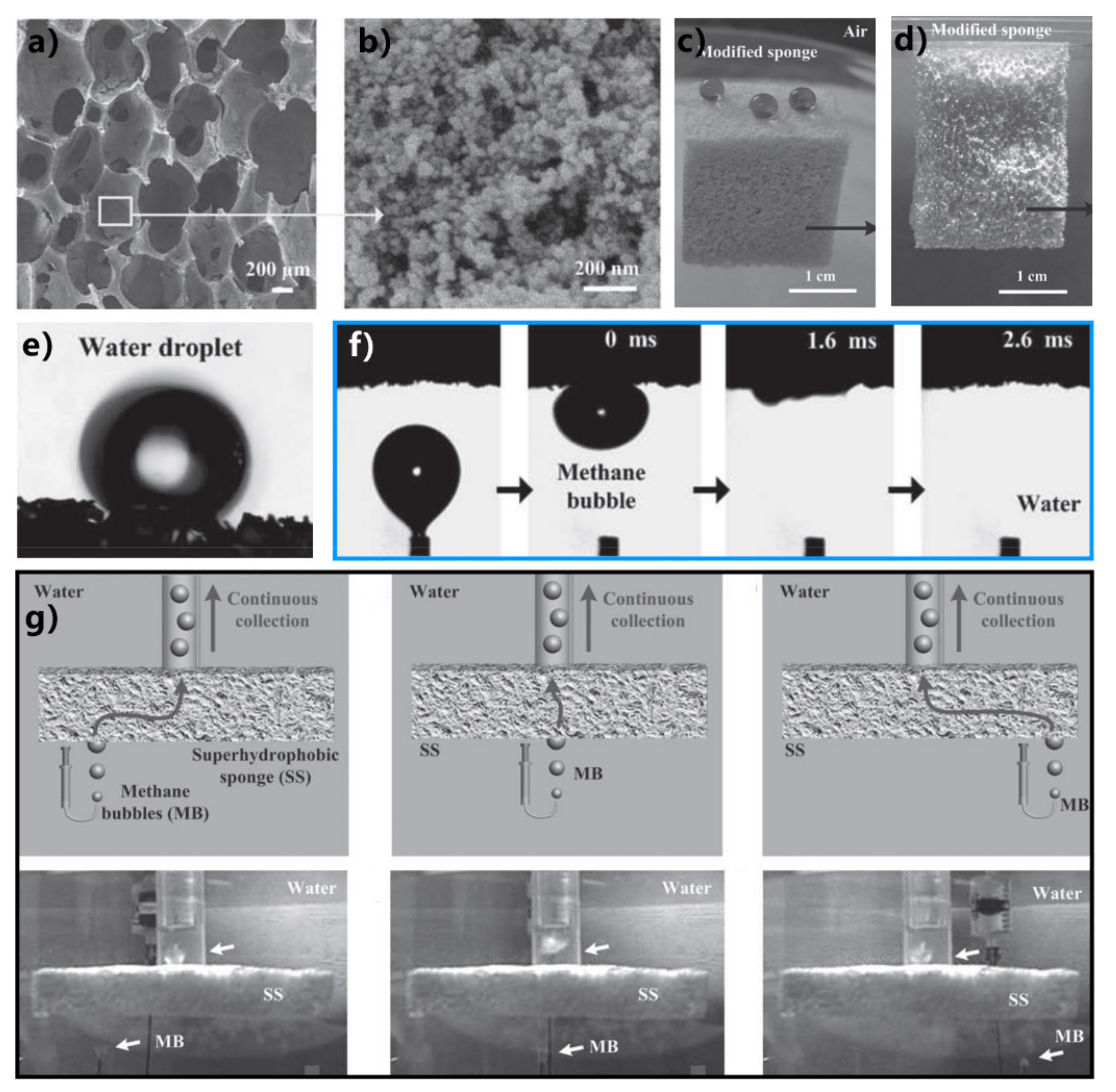 Nanomaterials 12 00688 g029 Nanomaterials 12 00688 g029
