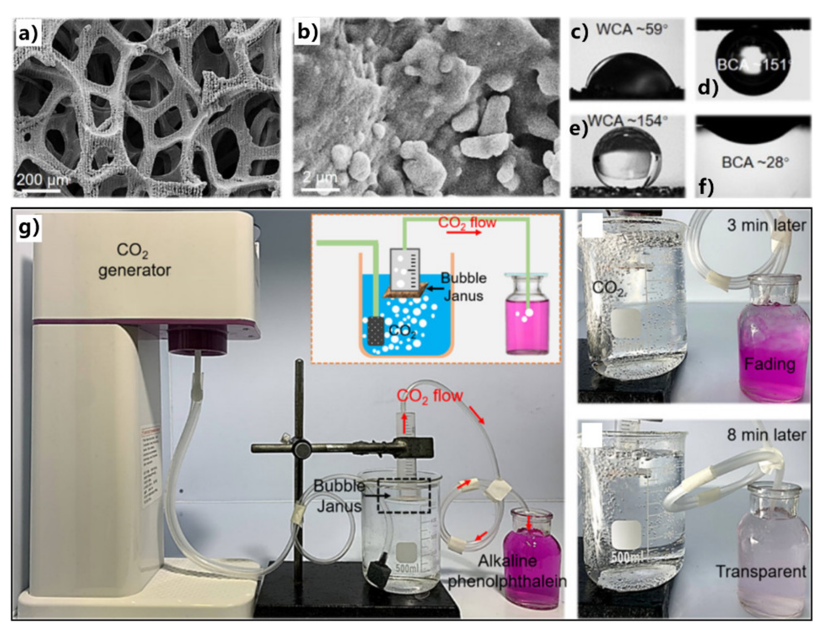 Nanomaterials 12 00688 g030 Nanomaterials 12 00688 g030