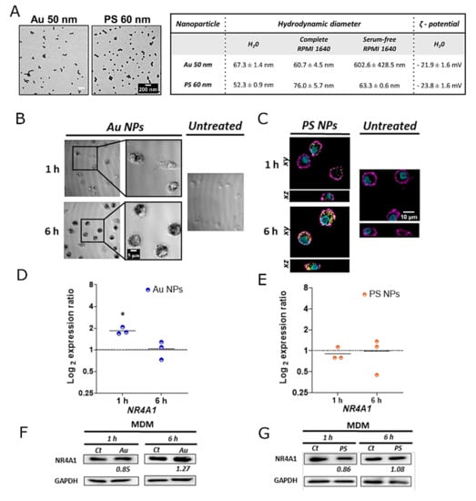 Nanomaterials 12 00690 g005 550