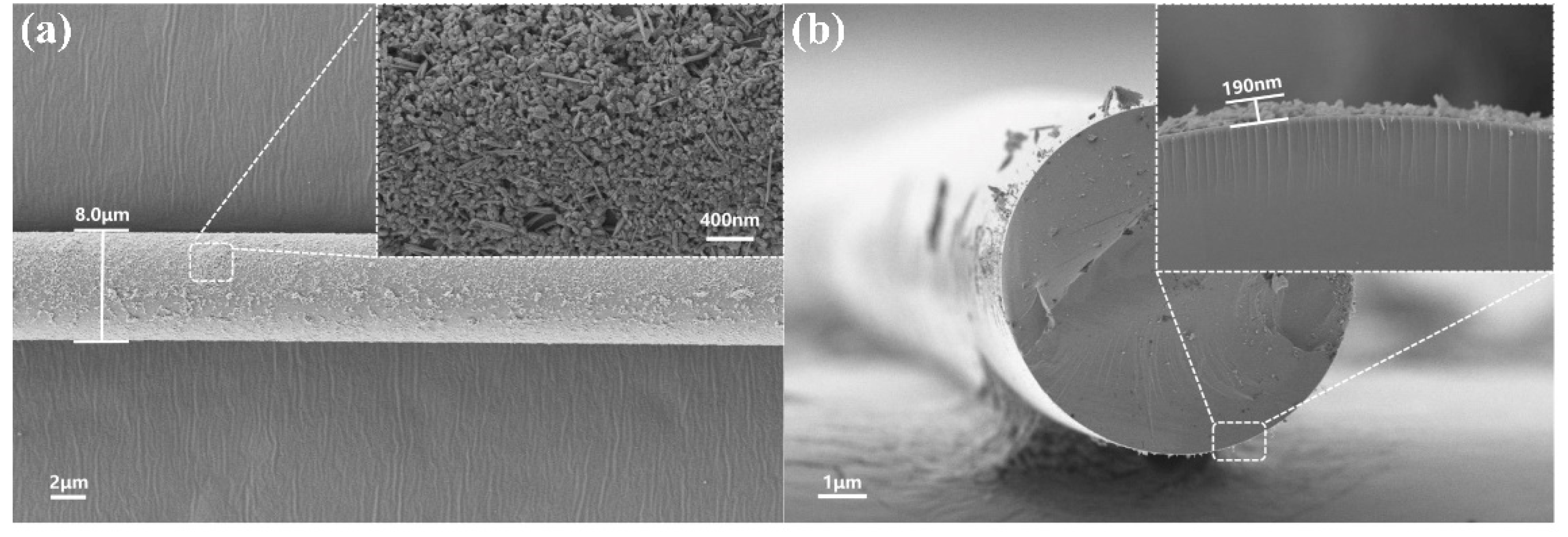 Nanomaterials 12 00694 g002