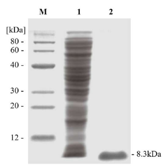 Nanomaterials 12 00696 g0a3 550