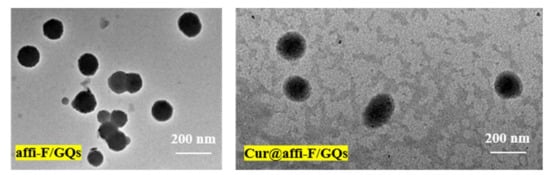 Nanomaterials 12 00696 g0a5 550