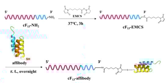 Nanomaterials 12 00696 sch0a2 550