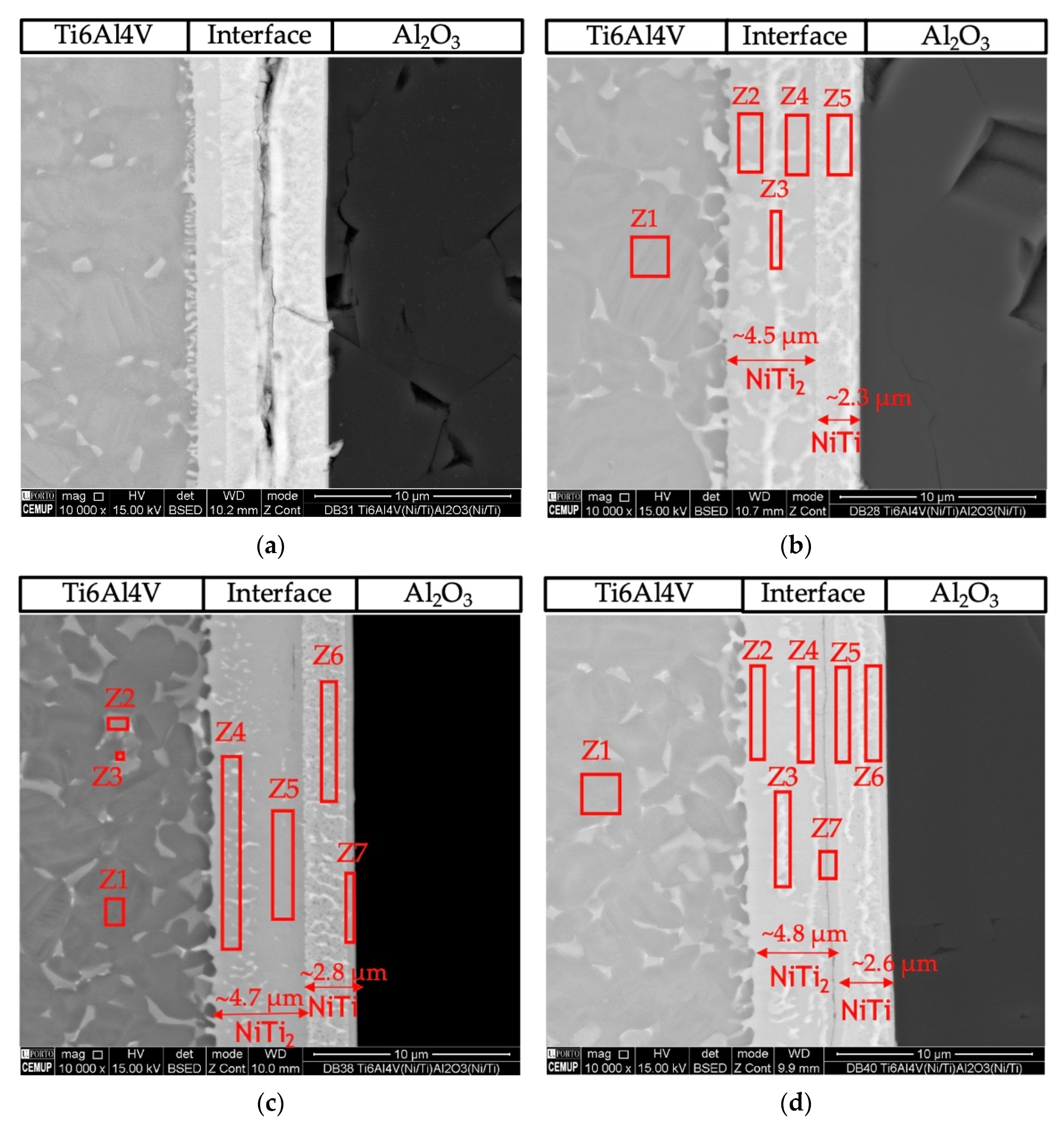 Nanomaterials 12 00706 g004a