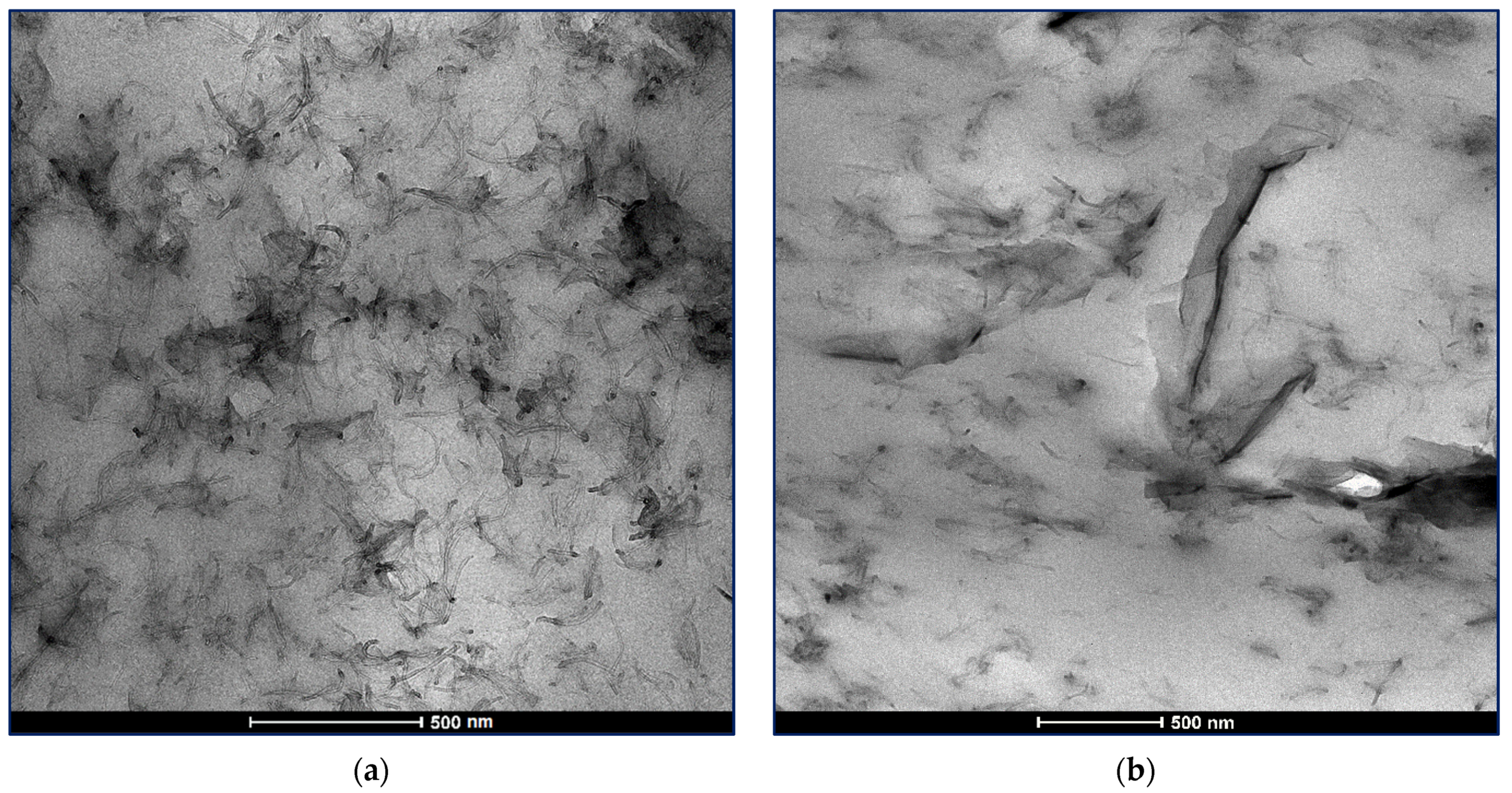Nanomaterials 12 00709 g011