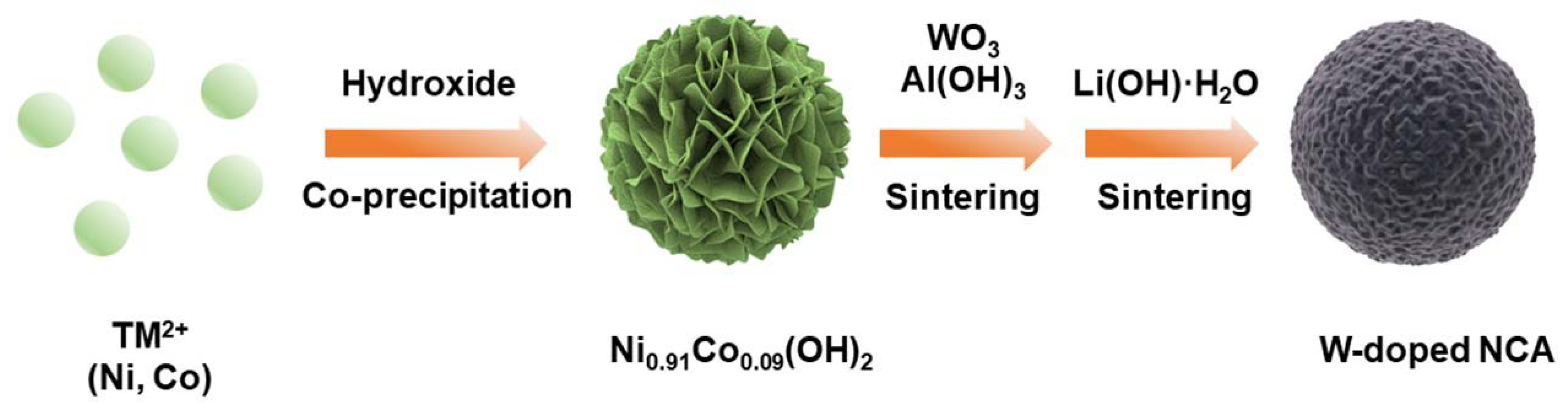 Nanomaterials 12 00729 g001
