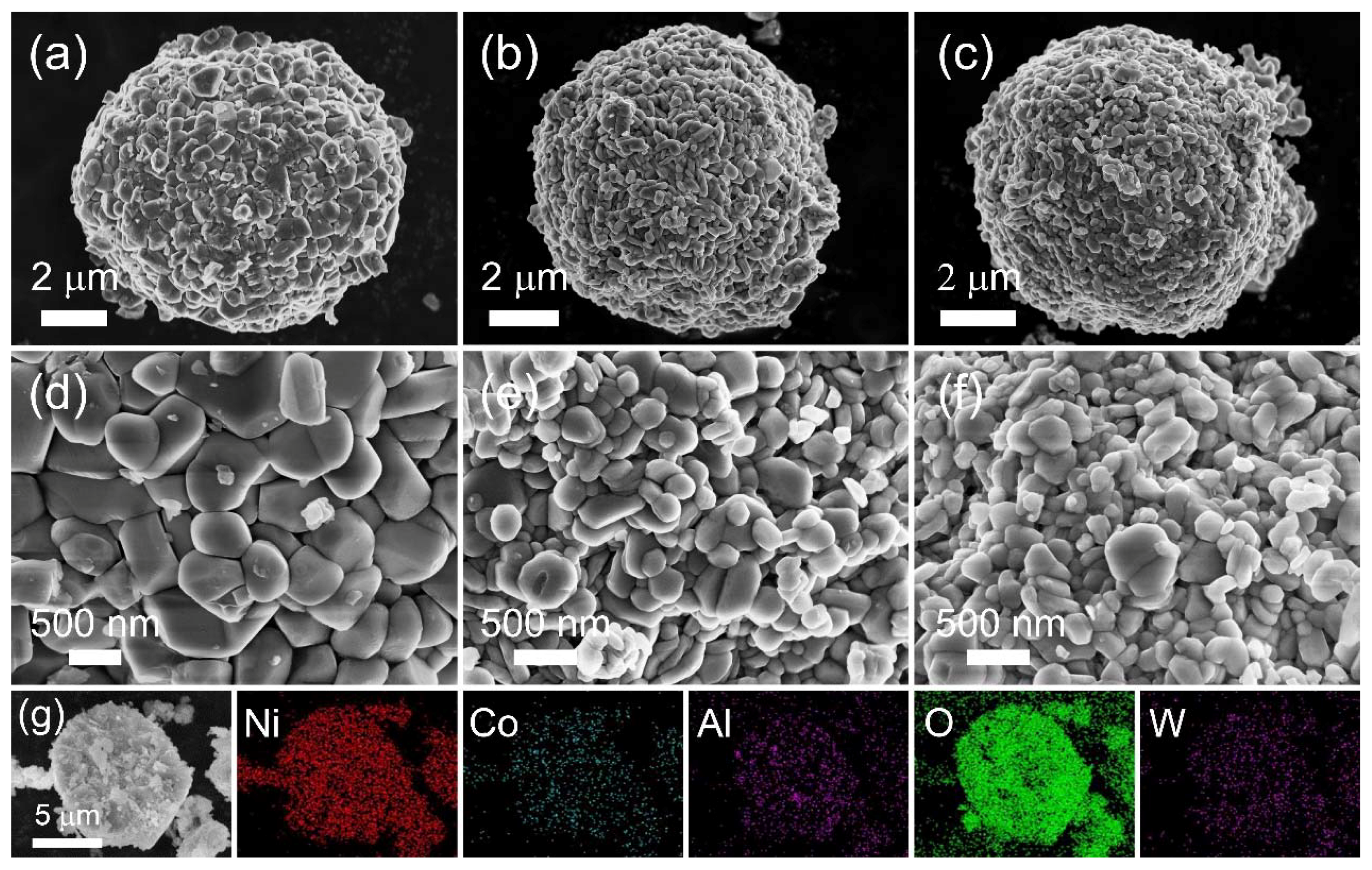 Nanomaterials 12 00729 g002