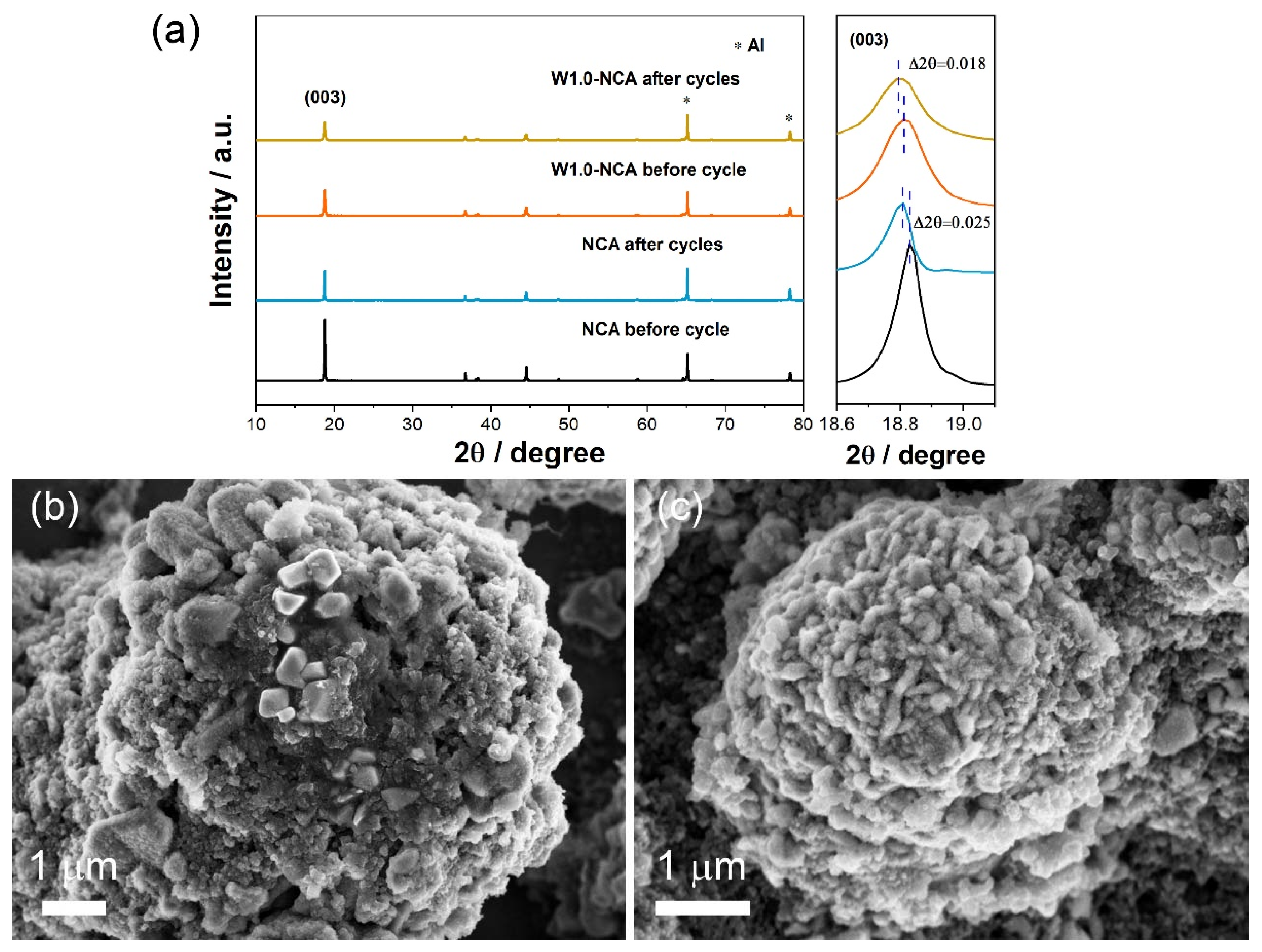 Nanomaterials 12 00729 g008