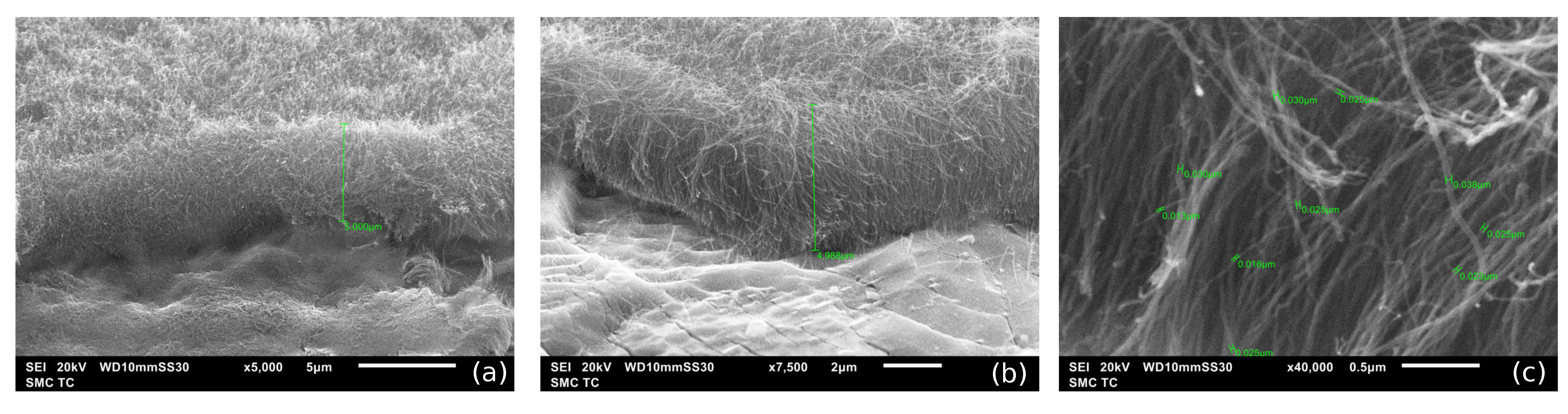 Nanomaterials 12 00739 g001