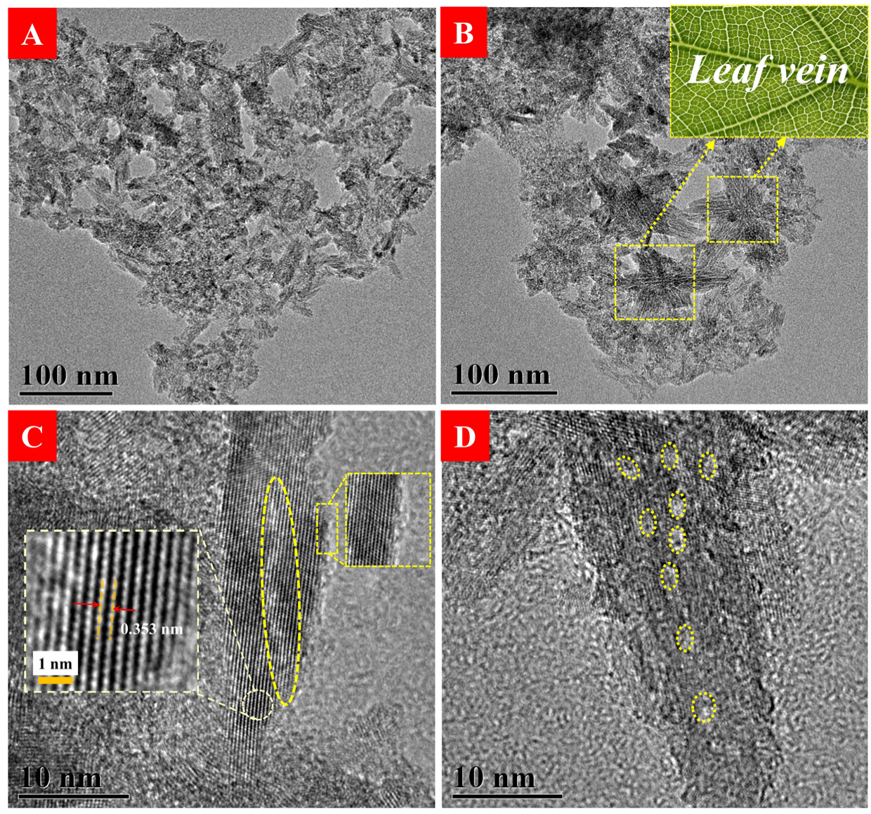 Nanomaterials 12 00742 g003