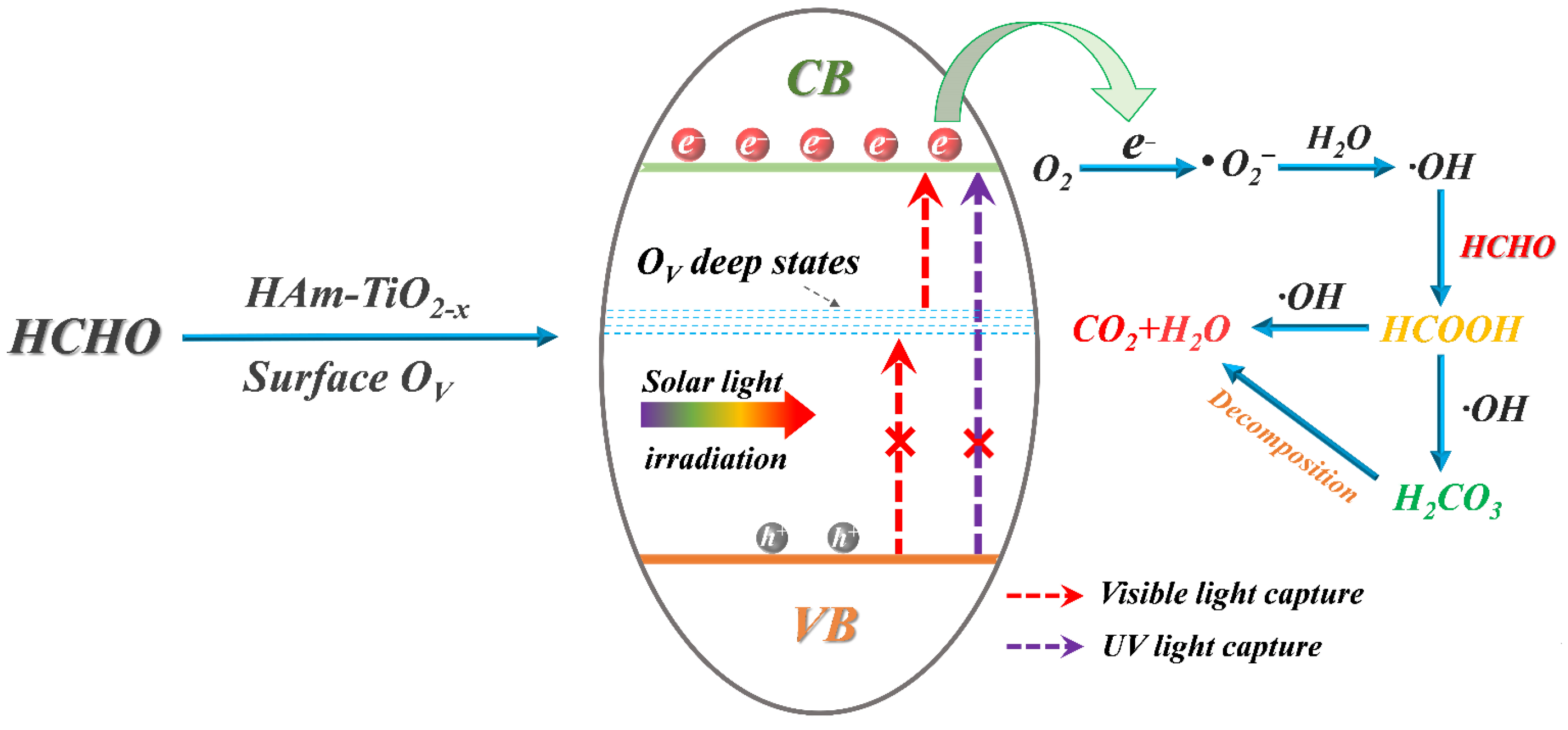 Nanomaterials 12 00742 g012