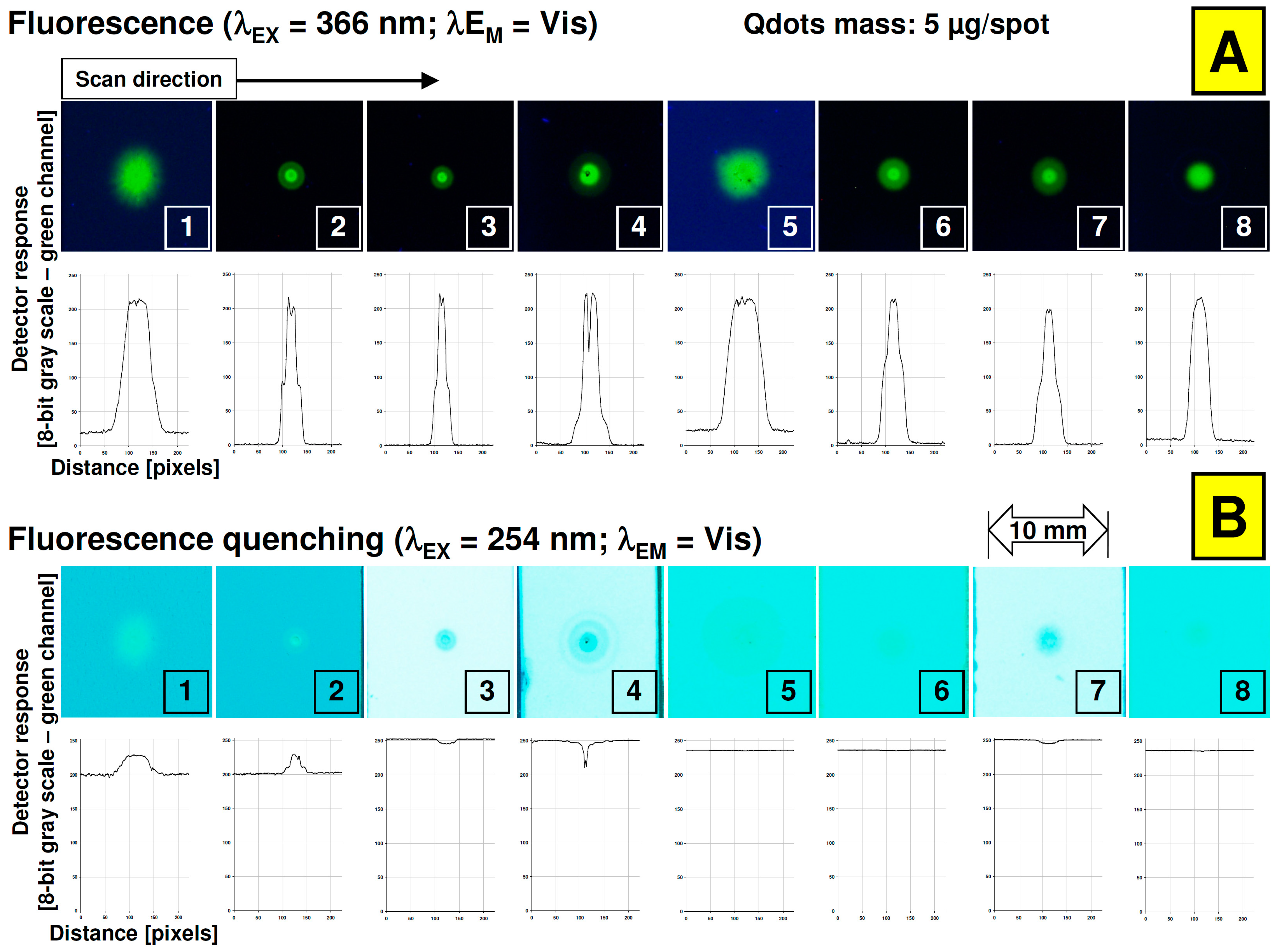 Nanomaterials 12 00745 g003