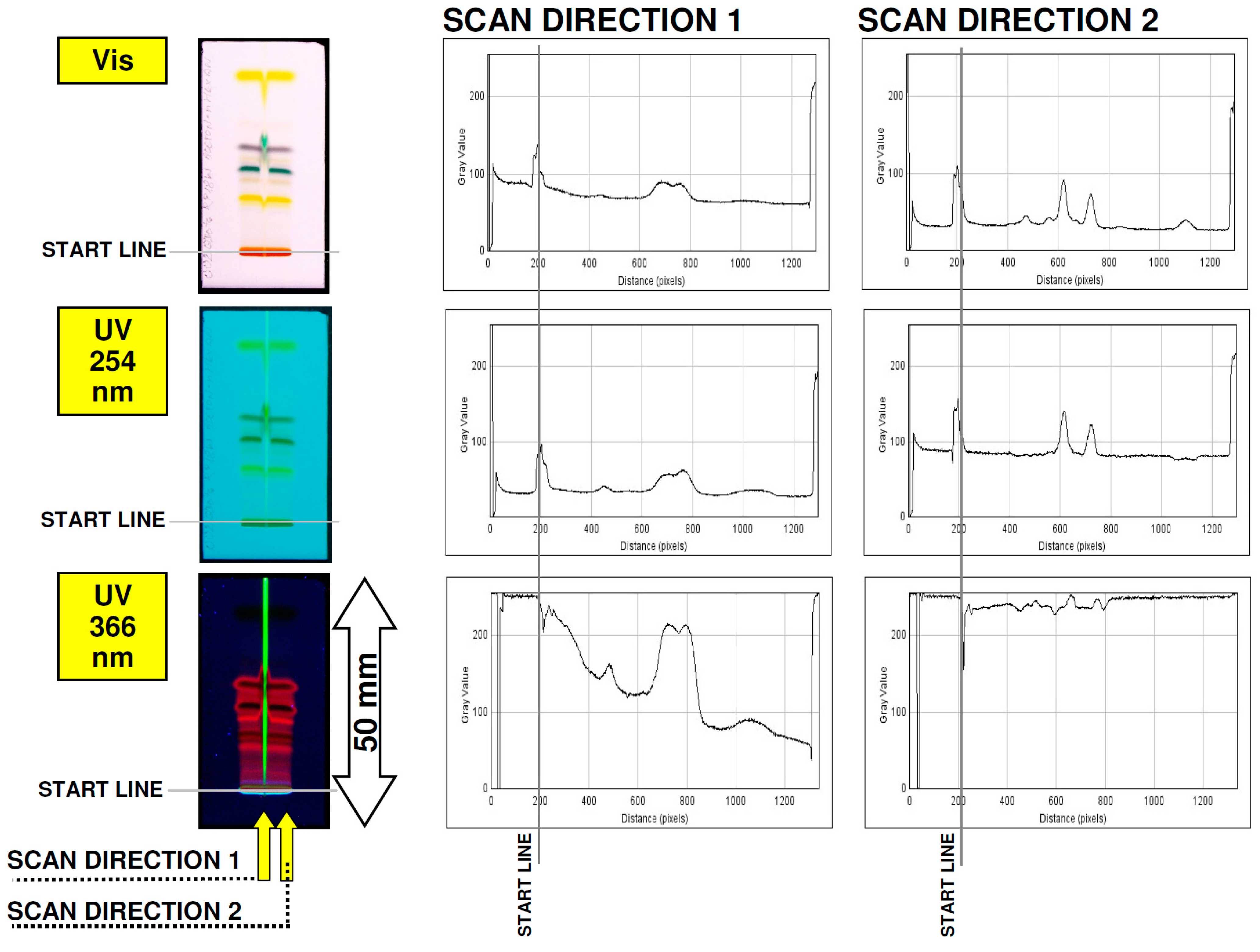 Nanomaterials 12 00745 g008