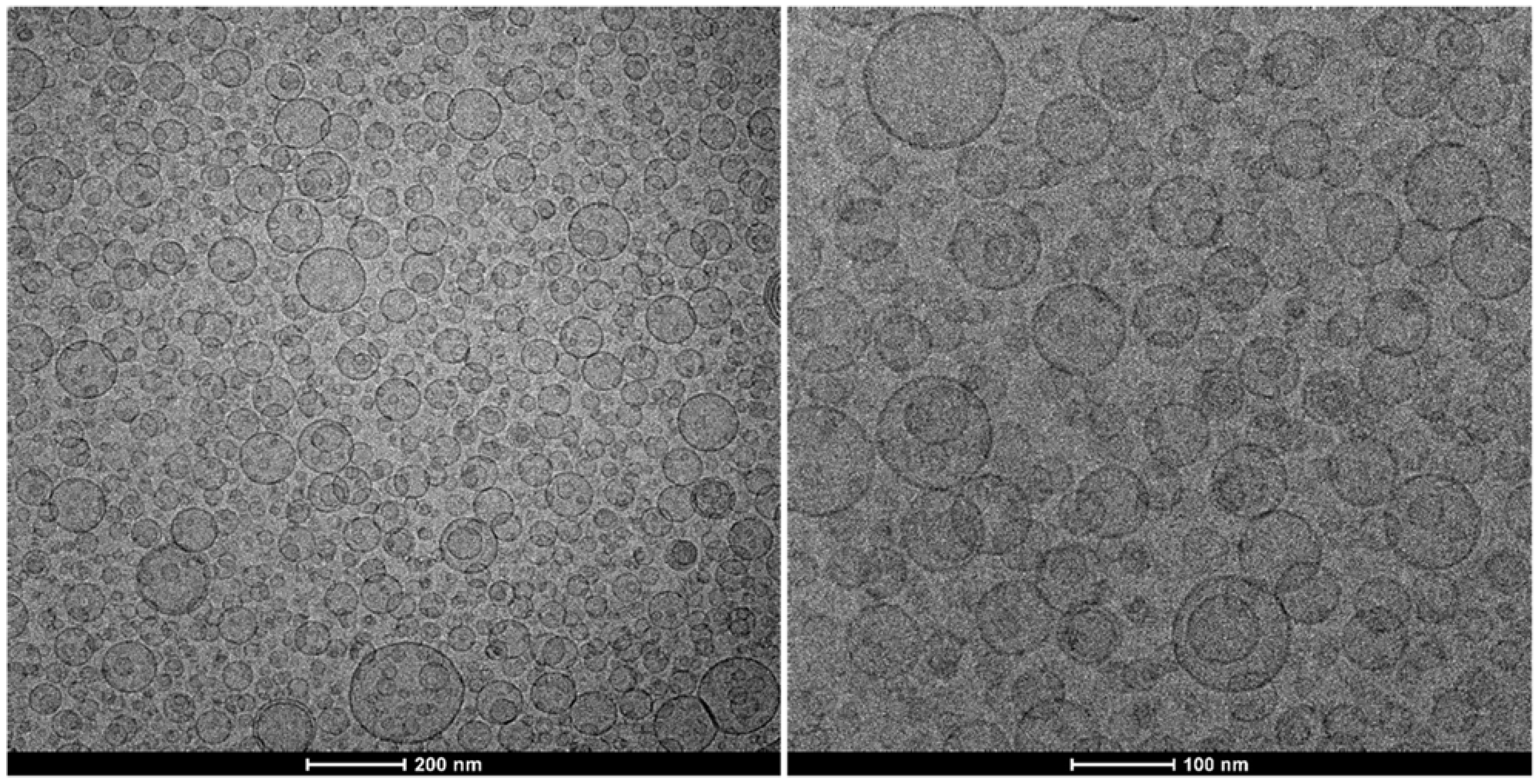 Nanomaterials 12 00746 g002 Nanomaterials 12 00746 g002
