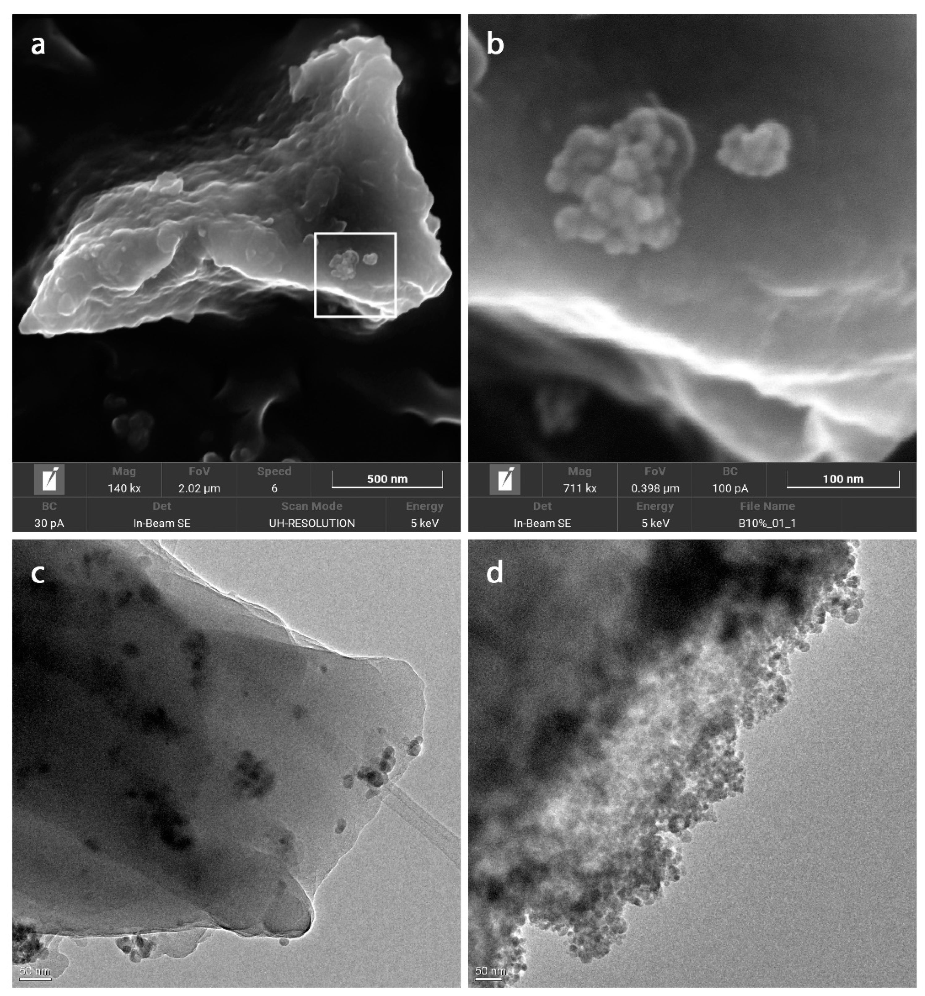 Nanomaterials 12 00754 g003