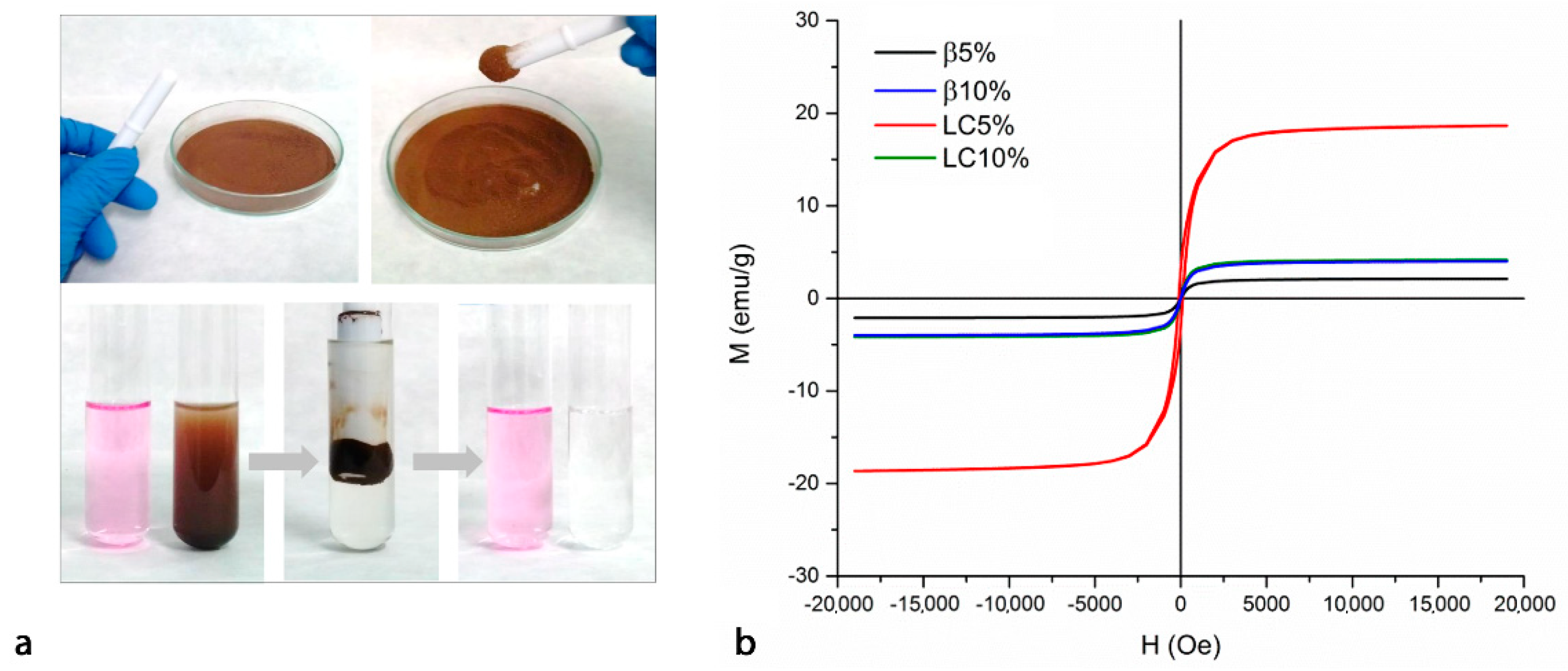Nanomaterials 12 00754 g004