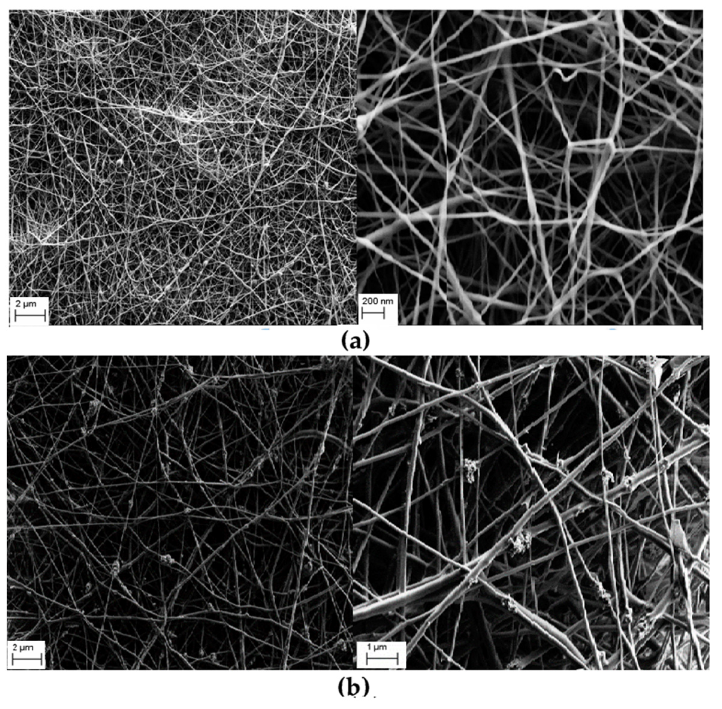 Nanomaterials 12 00756 g002