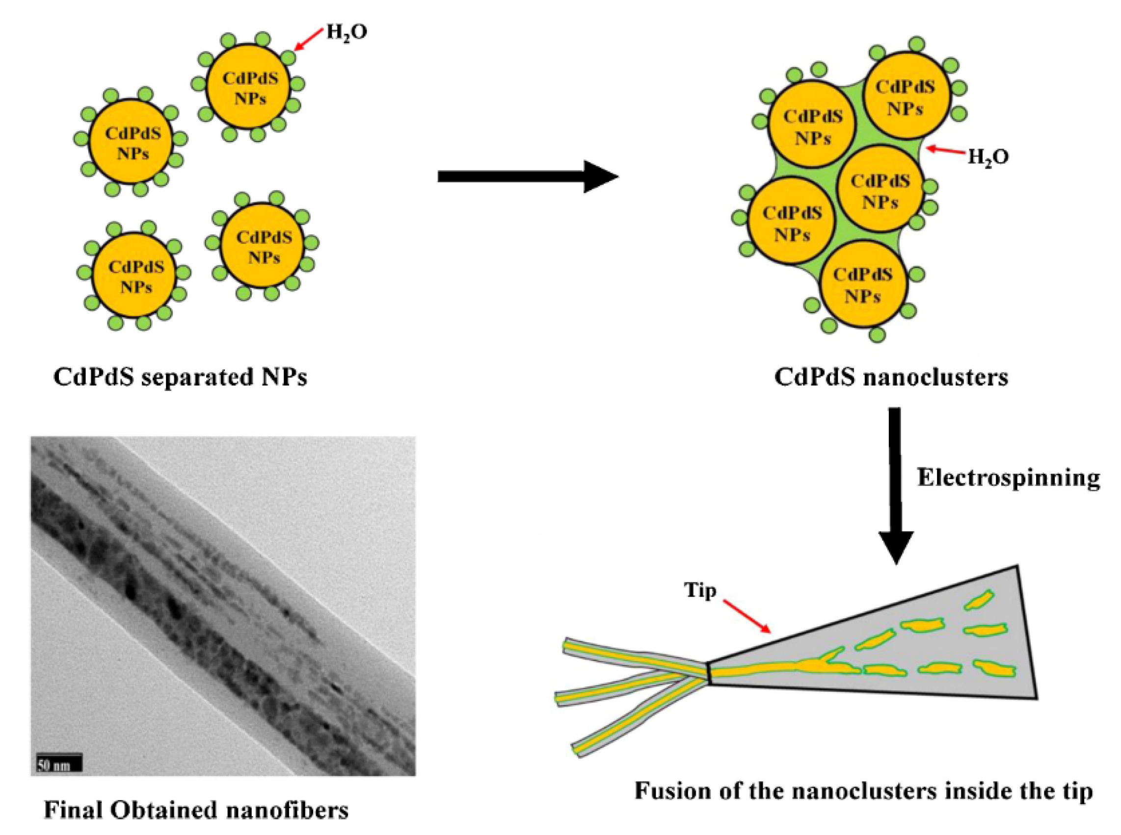 Nanomaterials 12 00756 g004