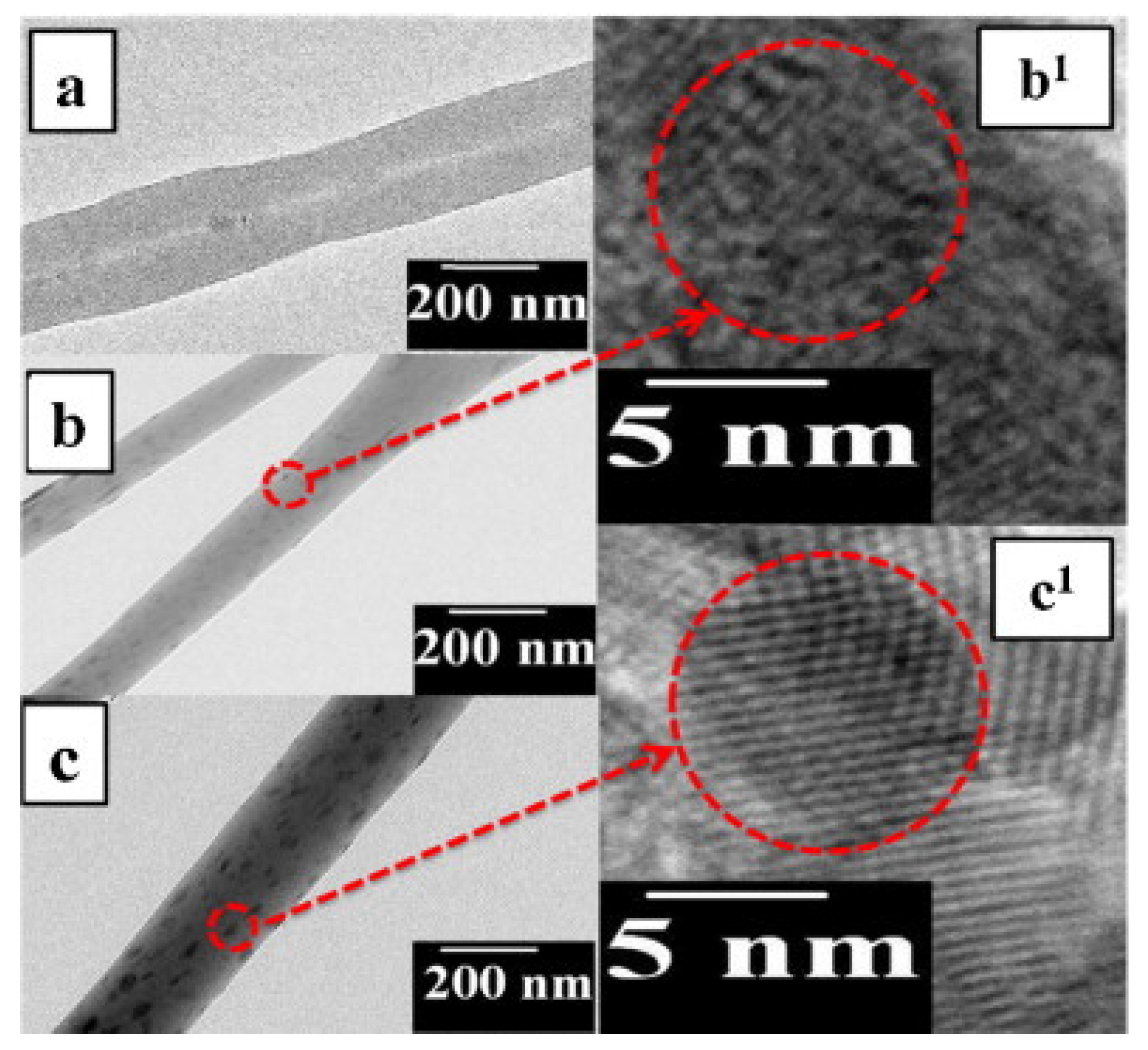 Nanomaterials 12 00756 g005