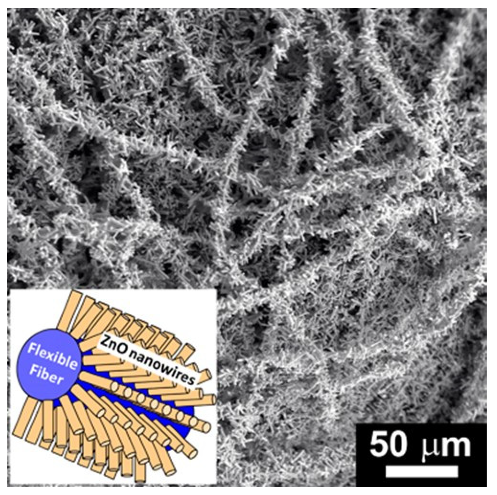 Nanomaterials 12 00756 g009