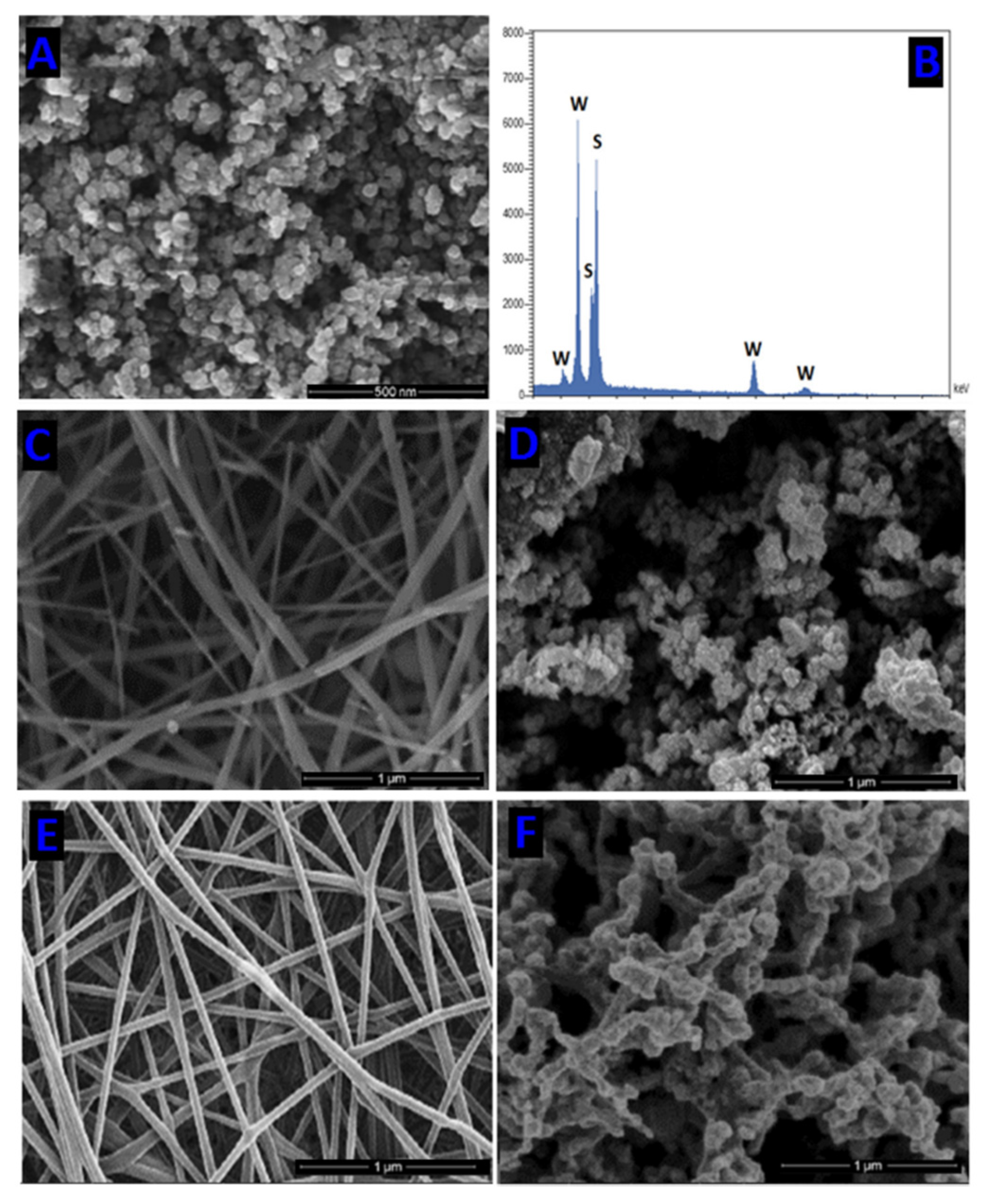 Nanomaterials 12 00756 g010